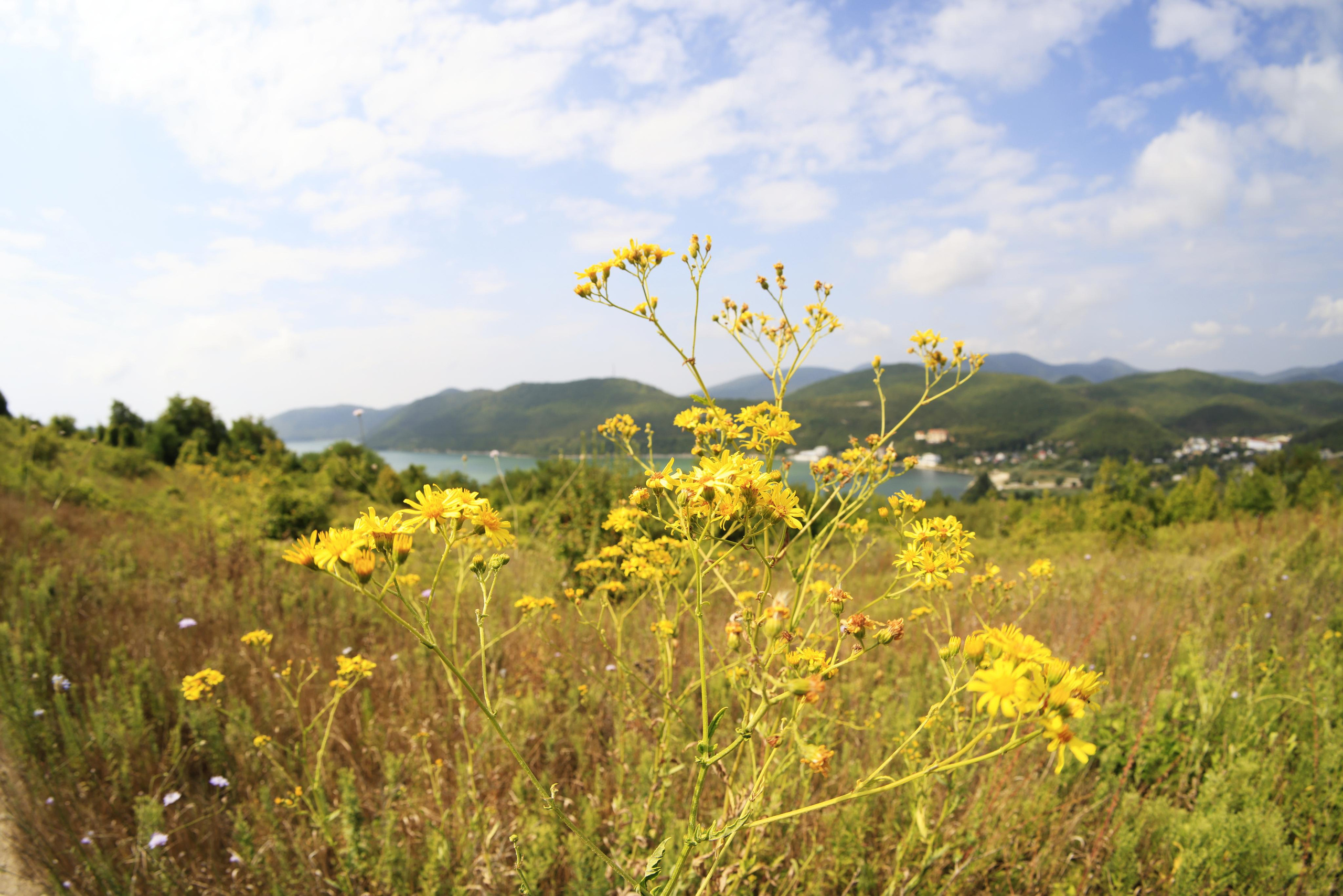 Краснодарский край 2023. Фотохудожник BID