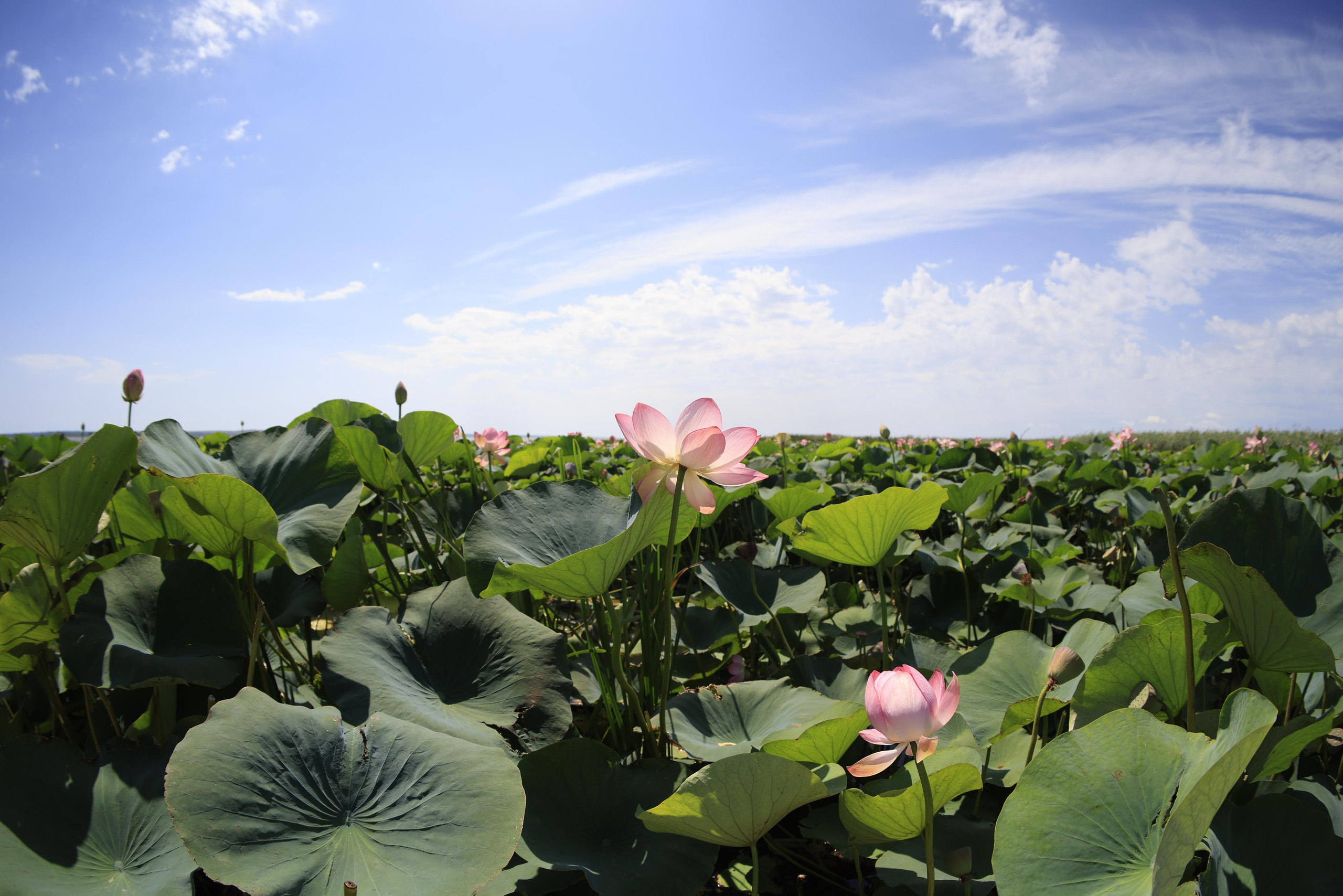 Краснодарский край 2023. Фотохудожник BID