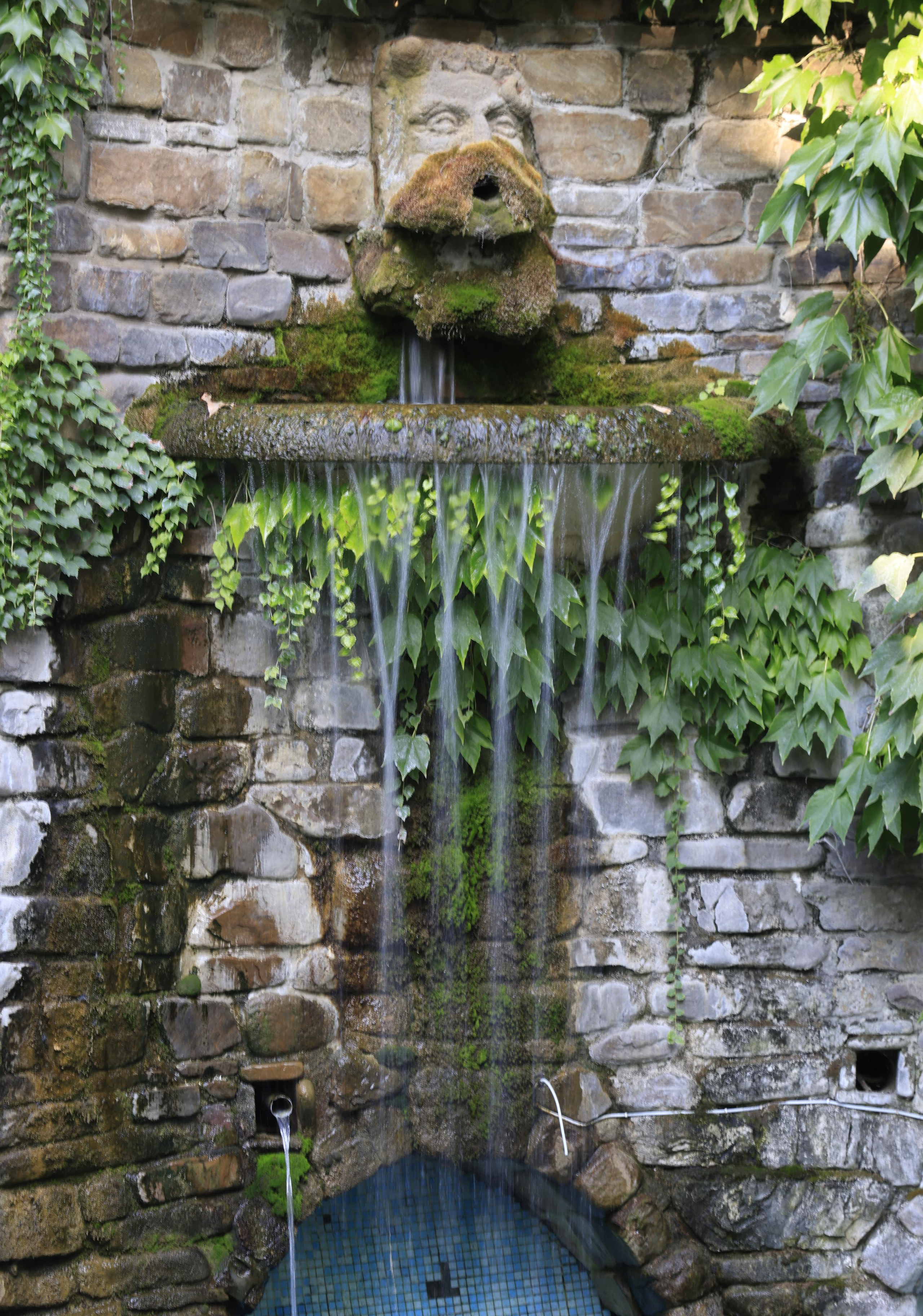 Старый парк. Кабардинка. 2023. Фотохудожник BID