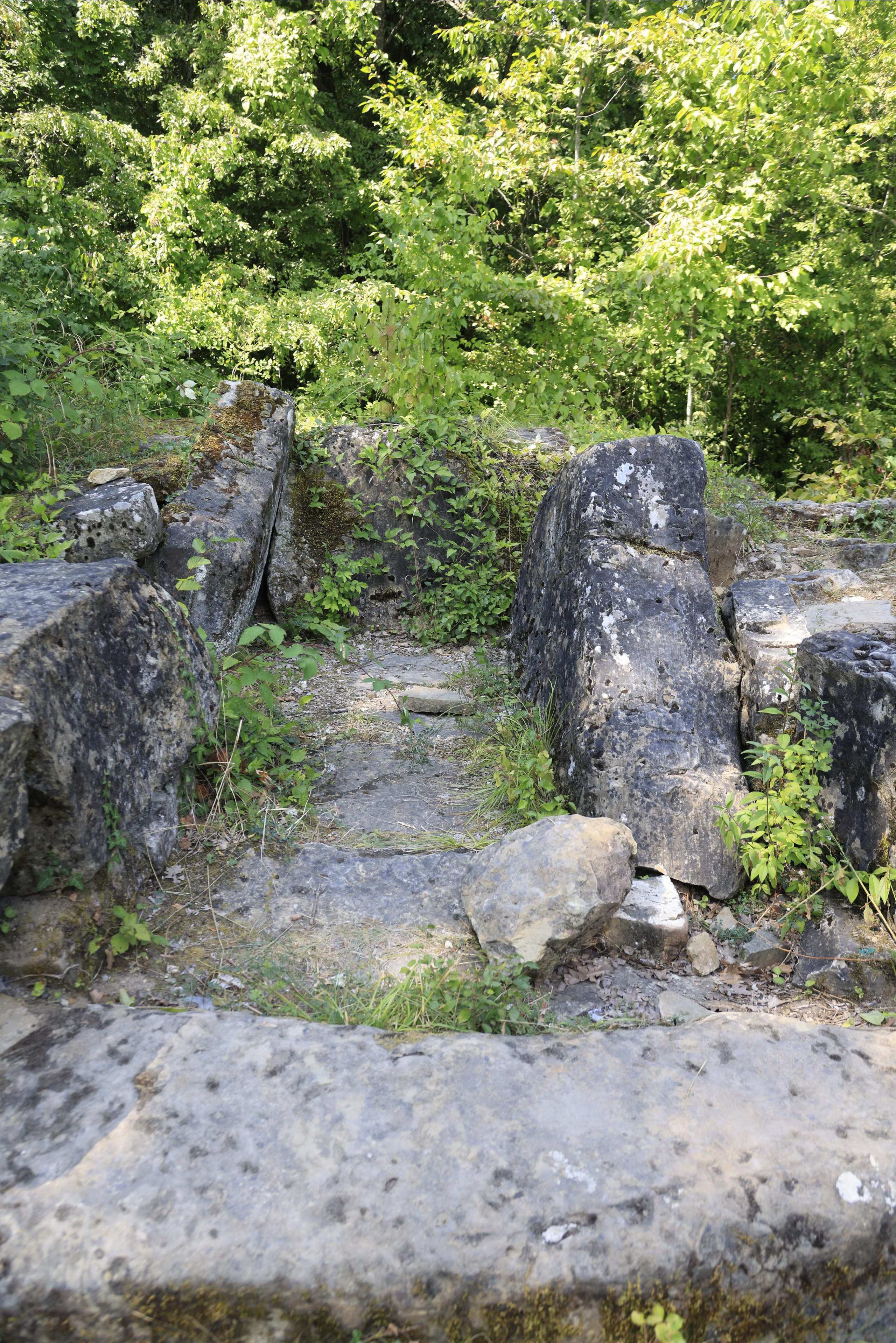 Дольмены около Абрау-Дюрсо 2023. Фотохудожник BID