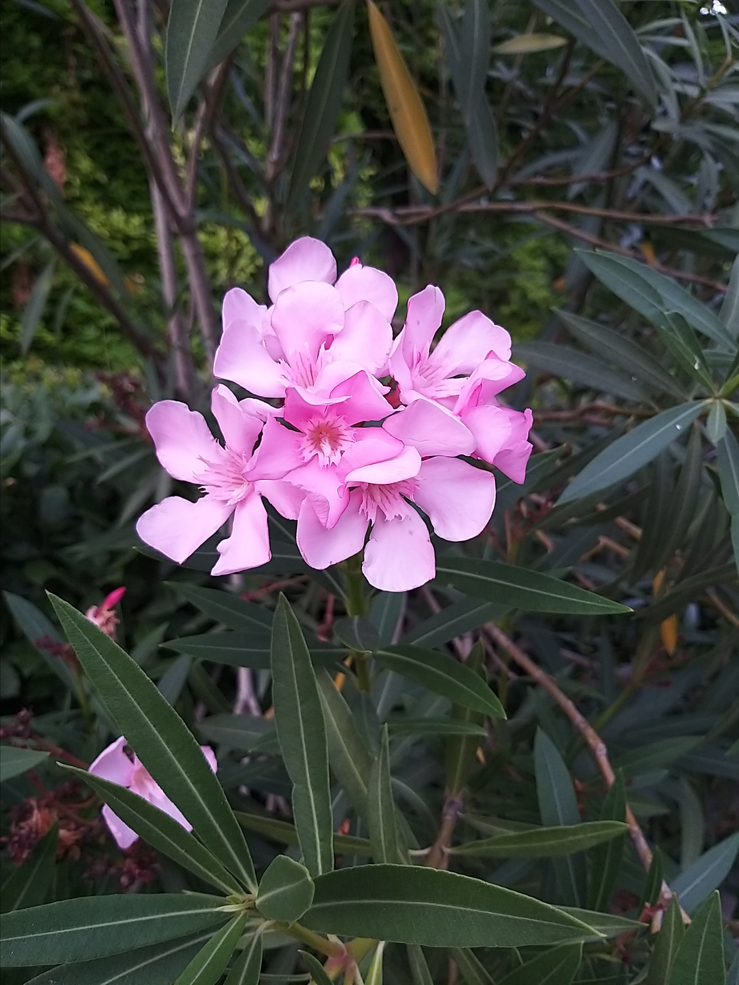 Мобильная фотография. Крым разных лет. Фотохудожник BID