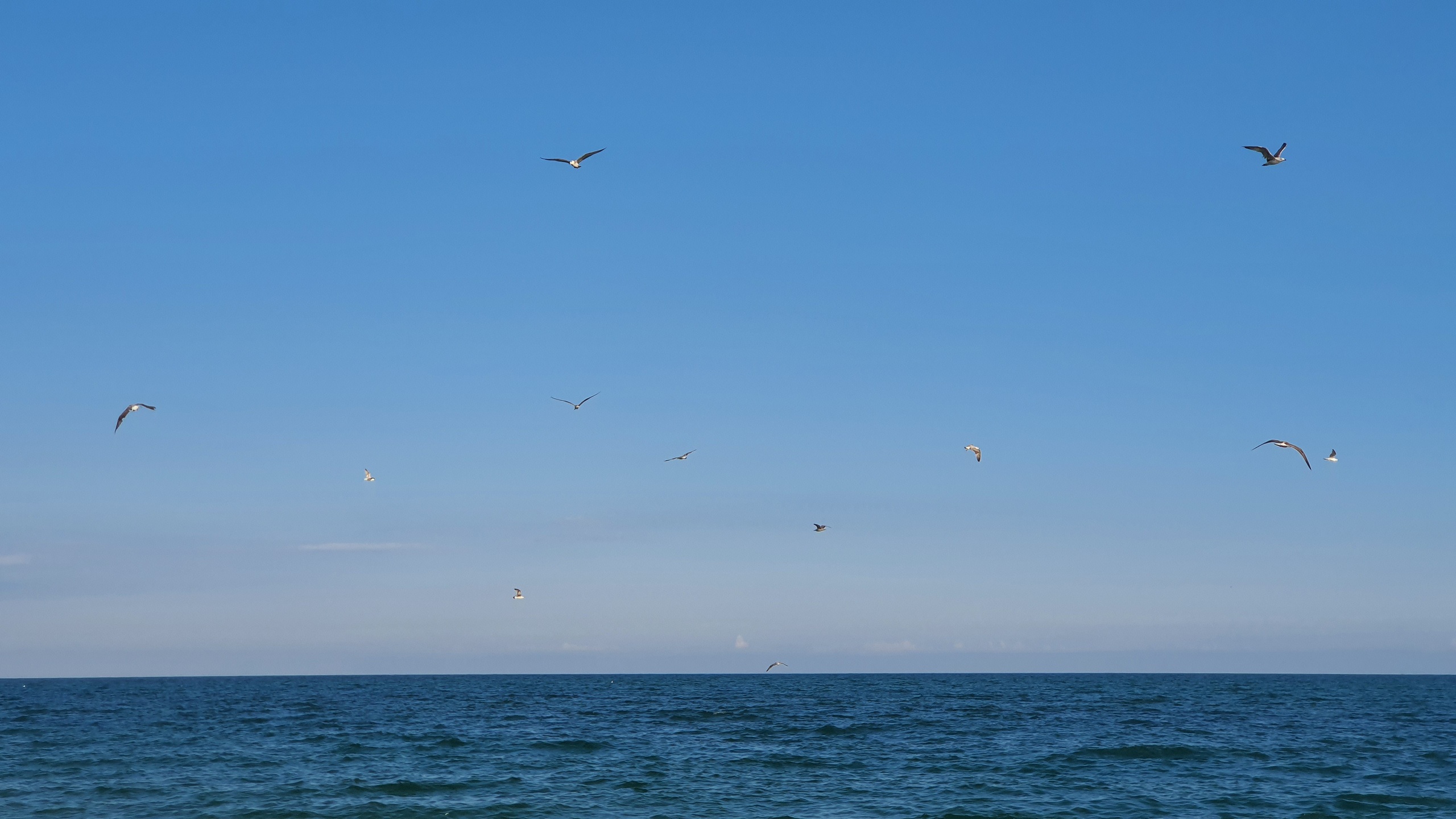 Крым. Фото разных лет. Фотохудожник BID