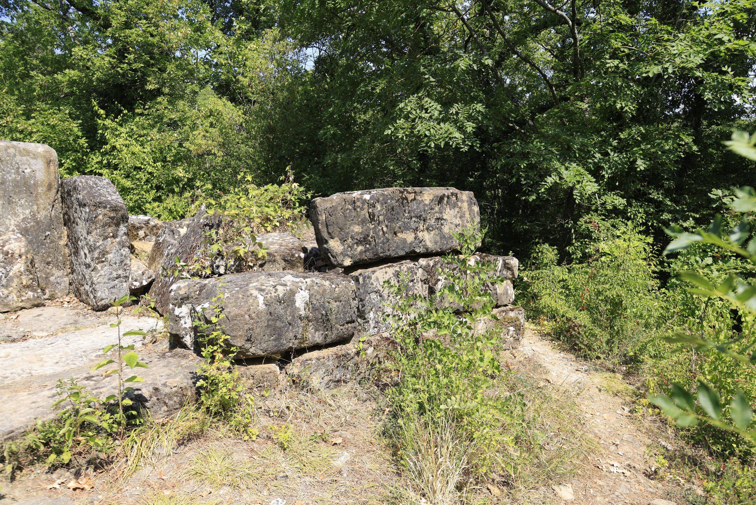 Дольмены около Абрау-Дюрсо 2023. Фотохудожник BID