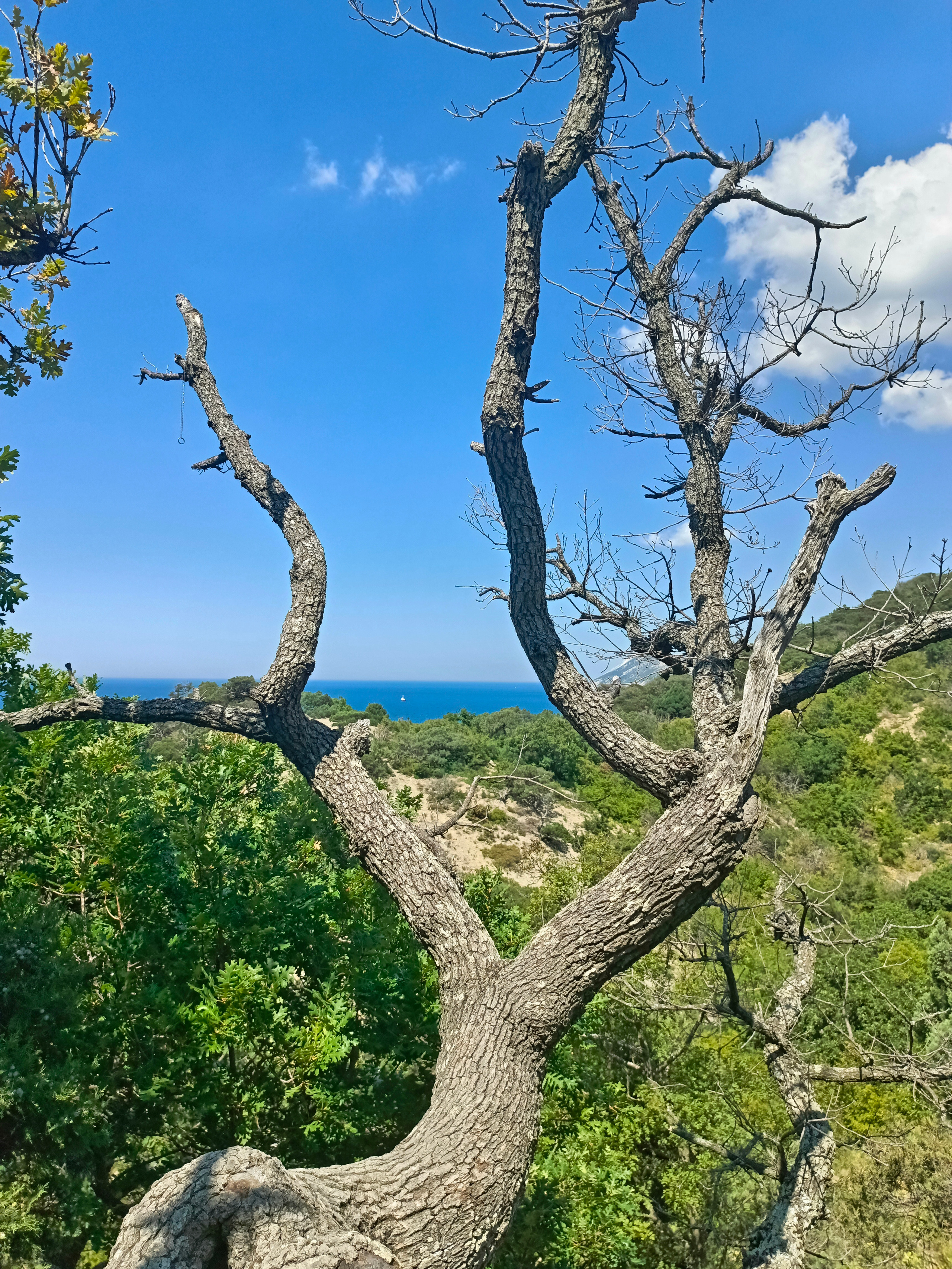 Краснодарский край 2023 Мобильная фотография. Фотохудожник BID