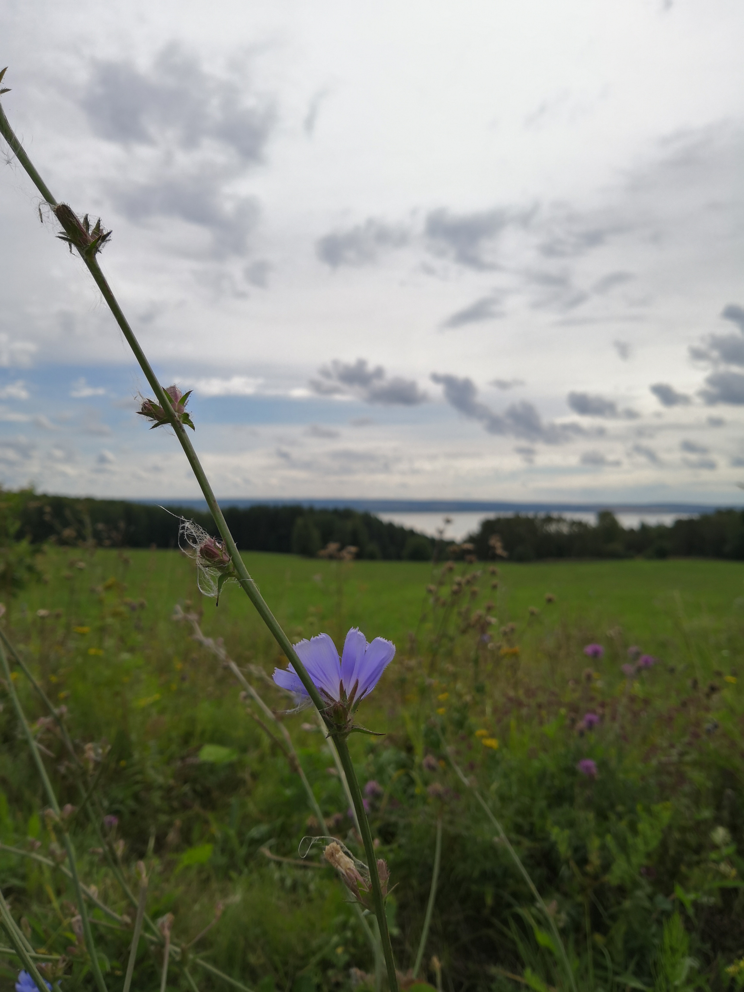 Мобильная фотография. Фотохудожник BID