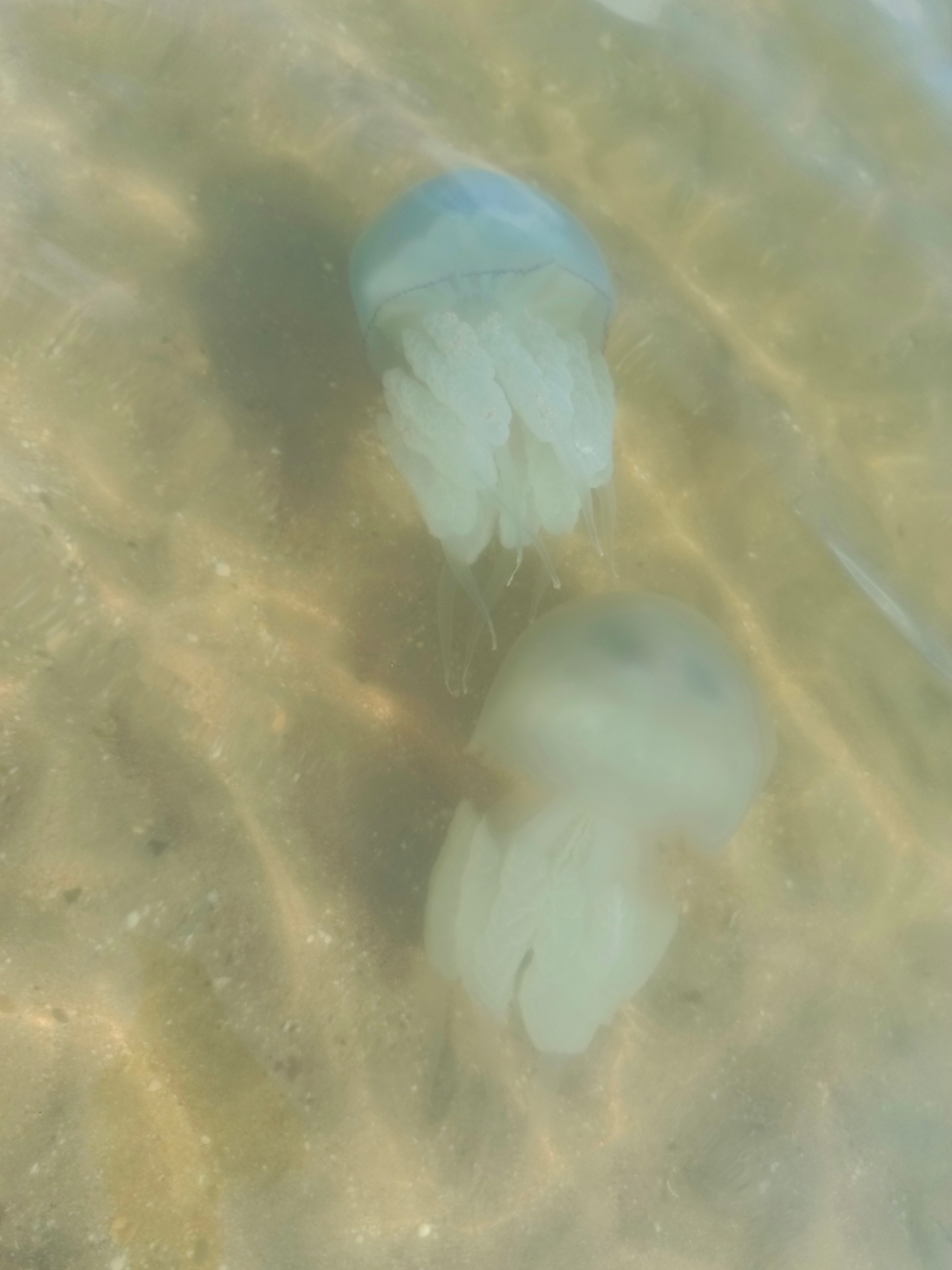 Краснодарский край 2023 Мобильная фотография. Фотохудожник BID