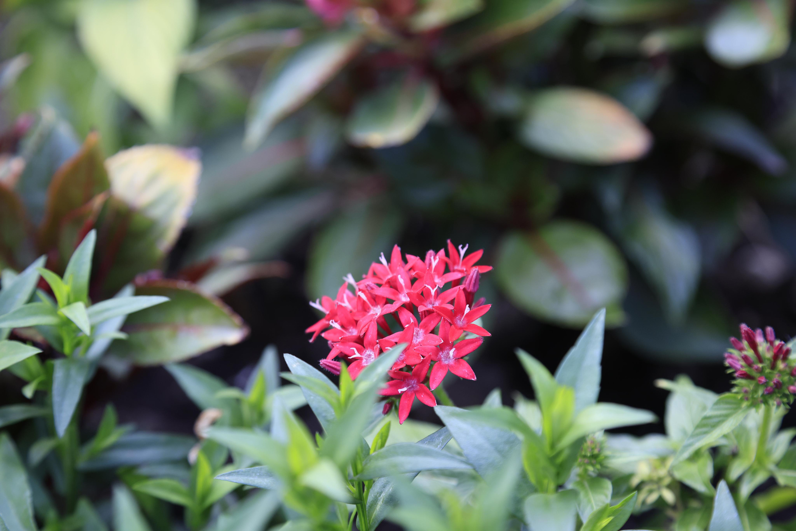 Старый парк. Кабардинка. 2023. Фотохудожник BID