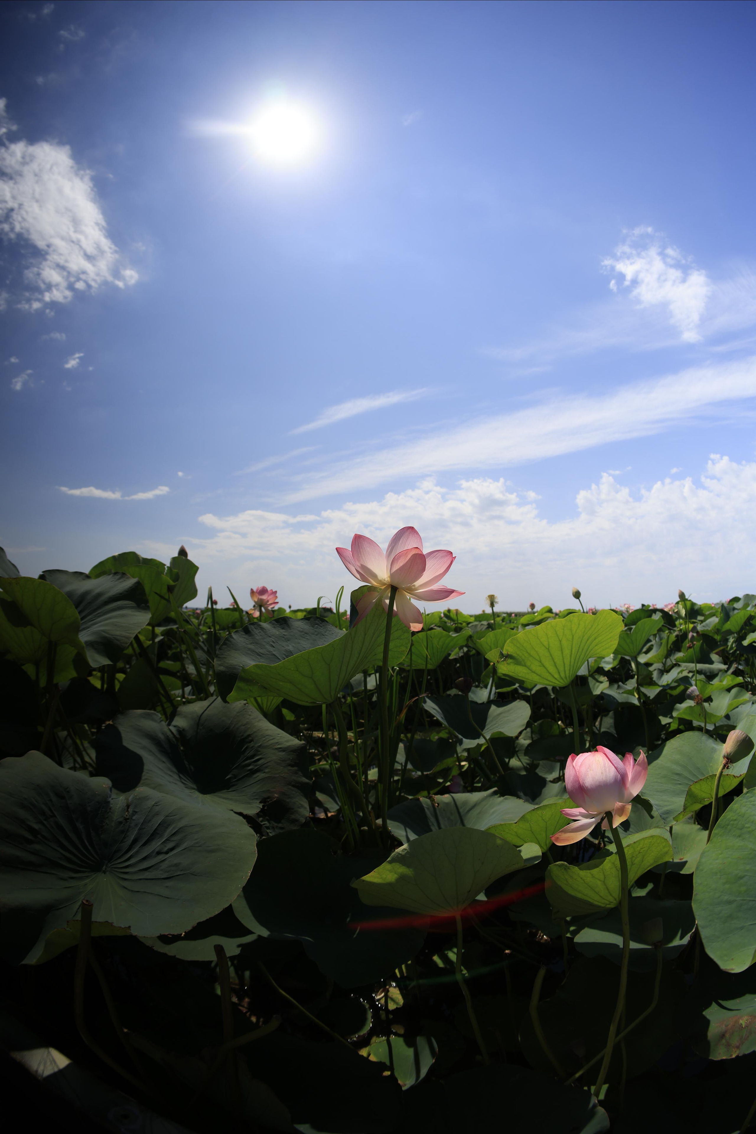 Краснодарский край 2023. Фотохудожник BID