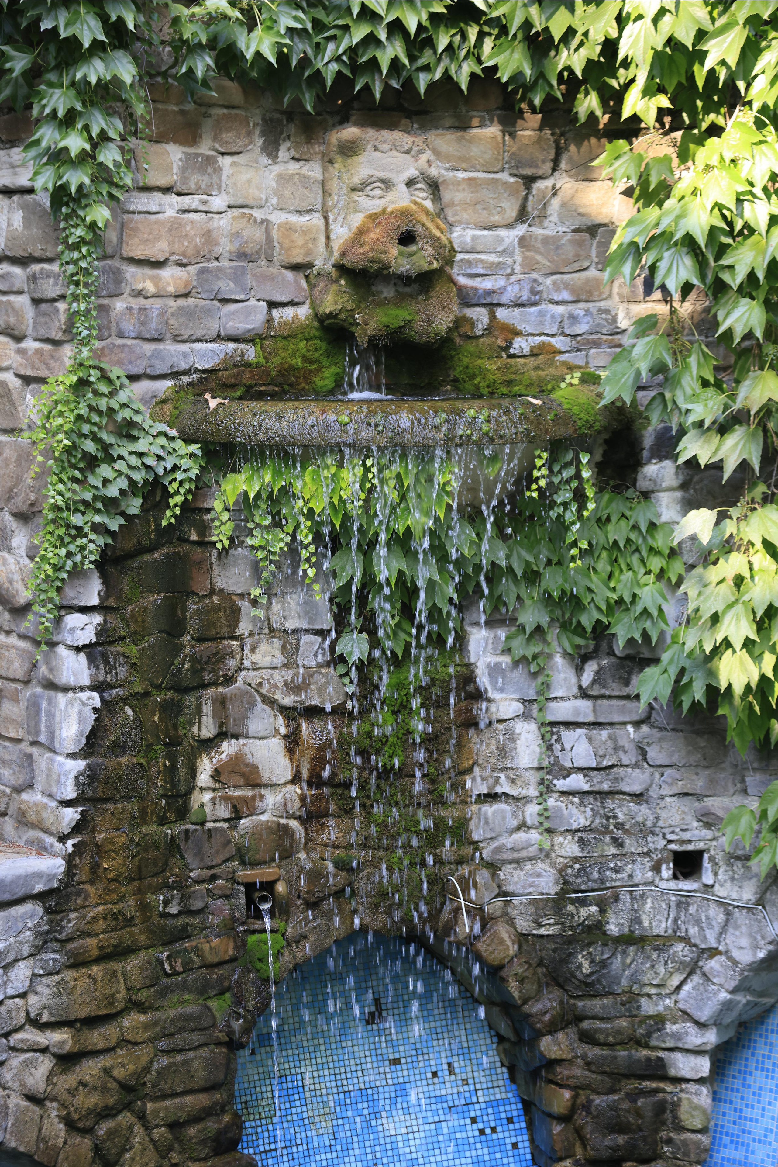 Старый парк. Кабардинка. 2023. Фотохудожник BID