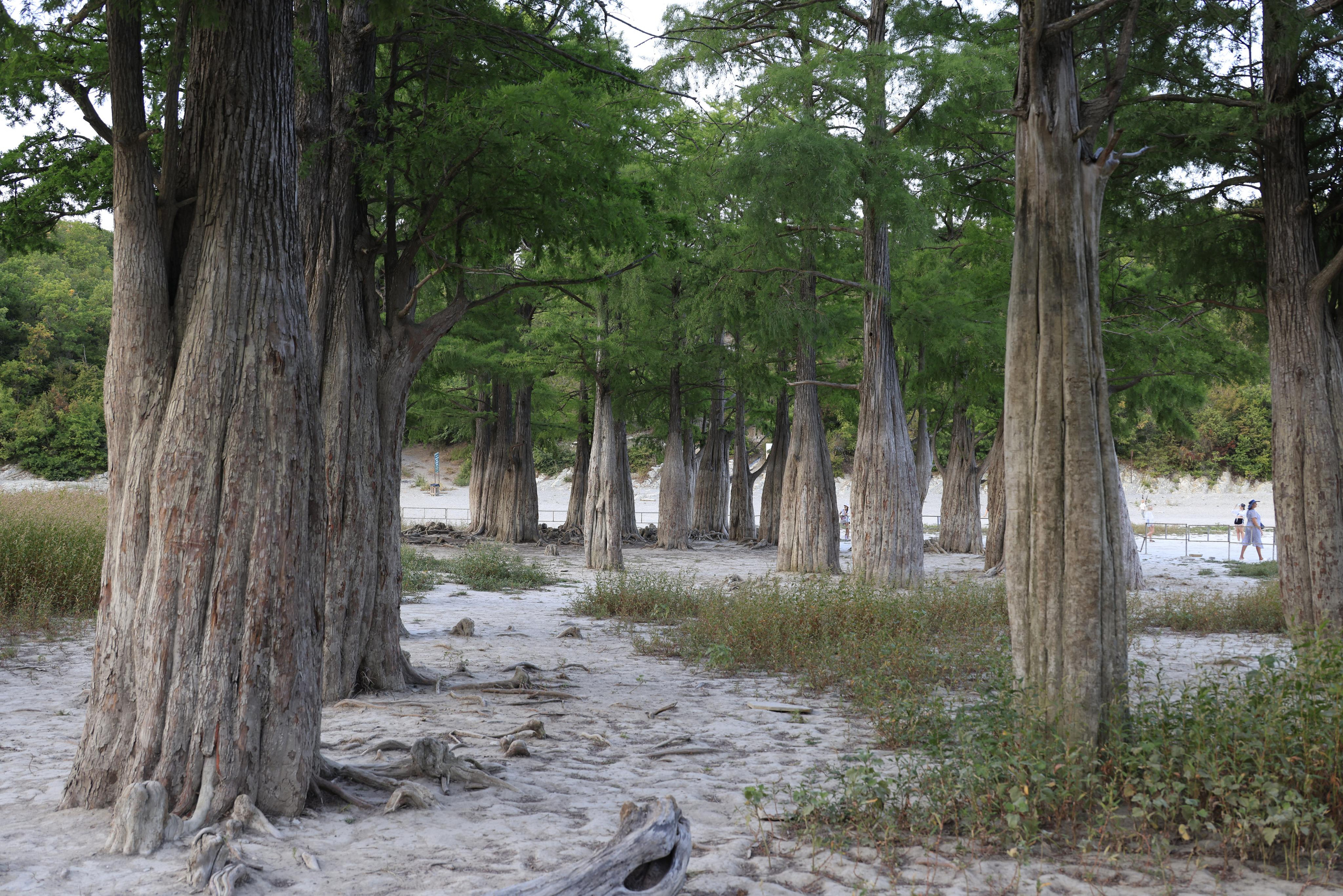 Краснодарский край 2023. Фотохудожник BID