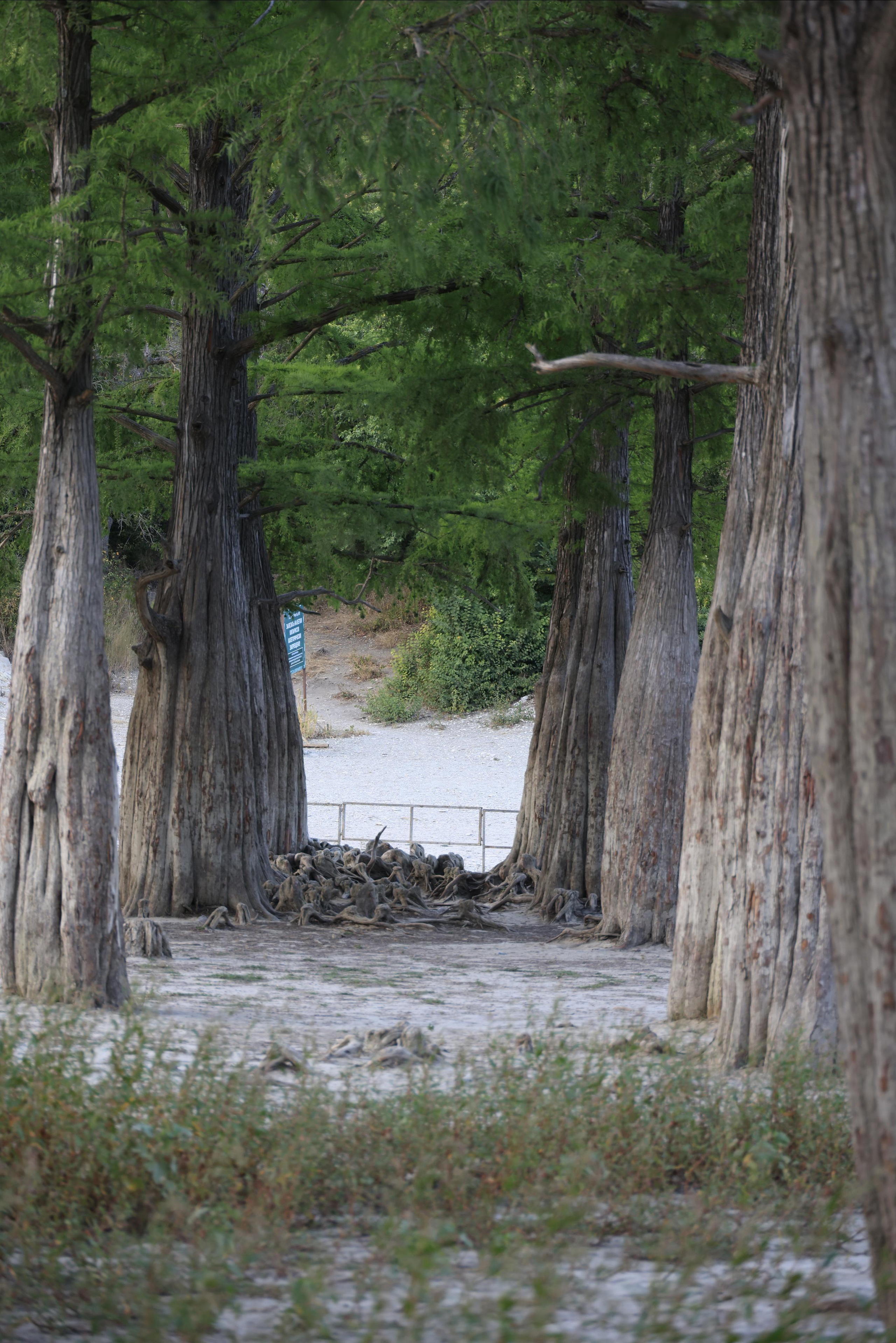 Краснодарский край 2023. Фотохудожник BID