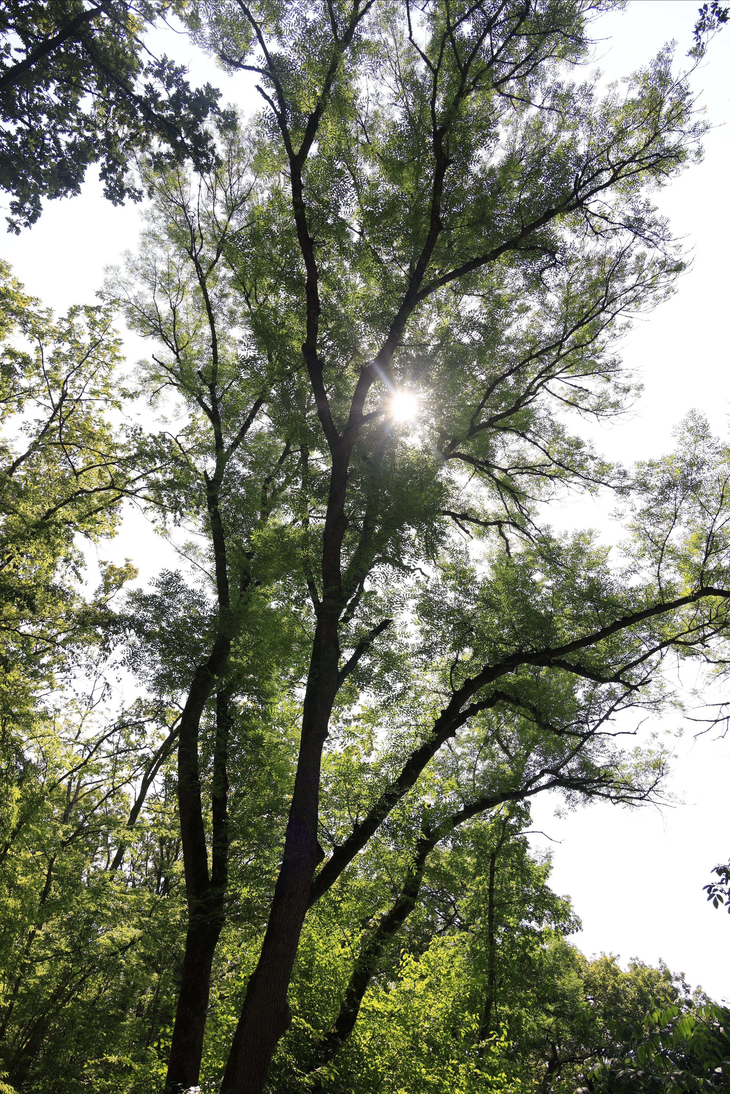 Краснодарский край 2023. Фотохудожник BID