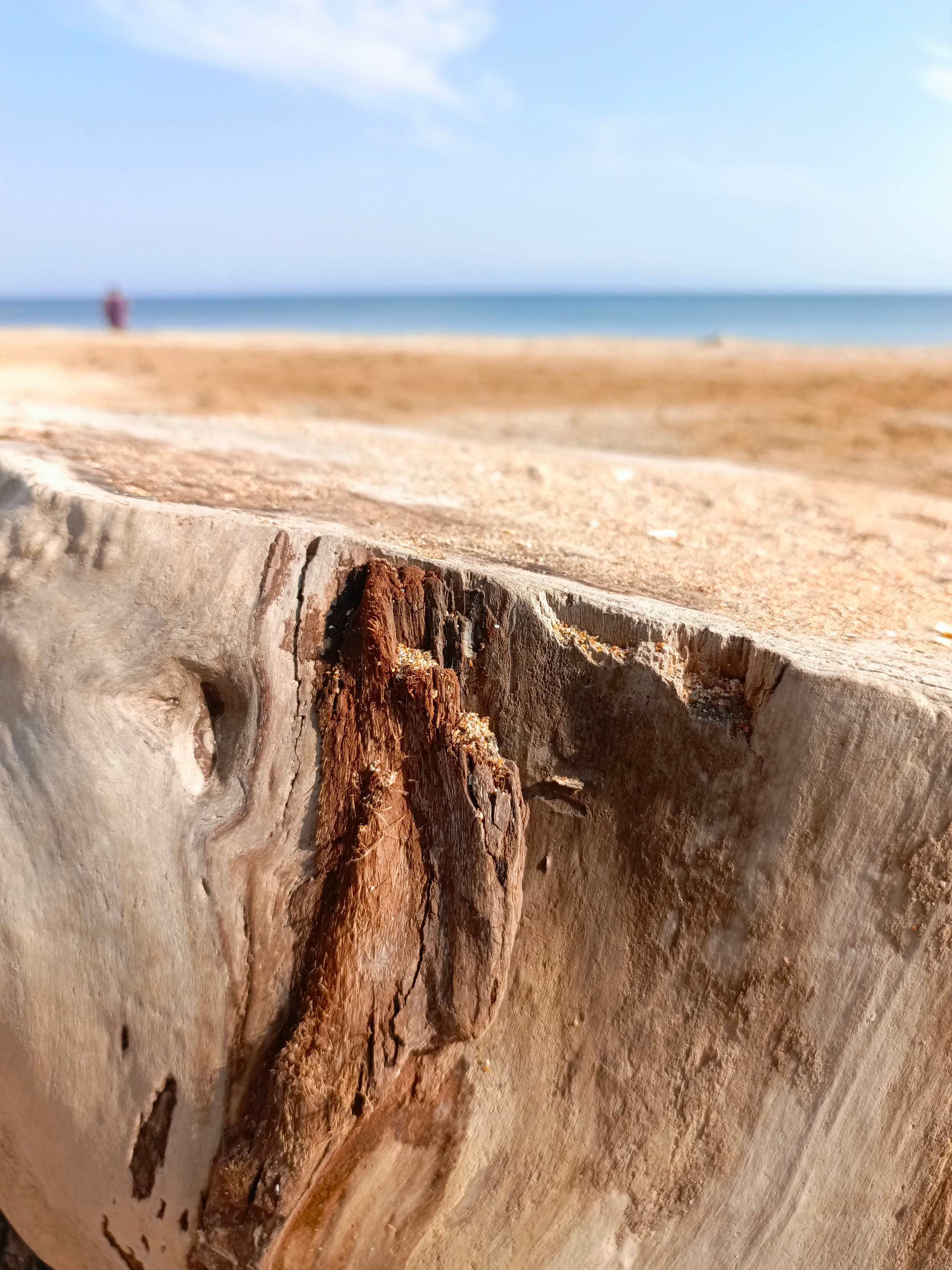 Краснодарский край 2023 Мобильная фотография. Фотохудожник BID