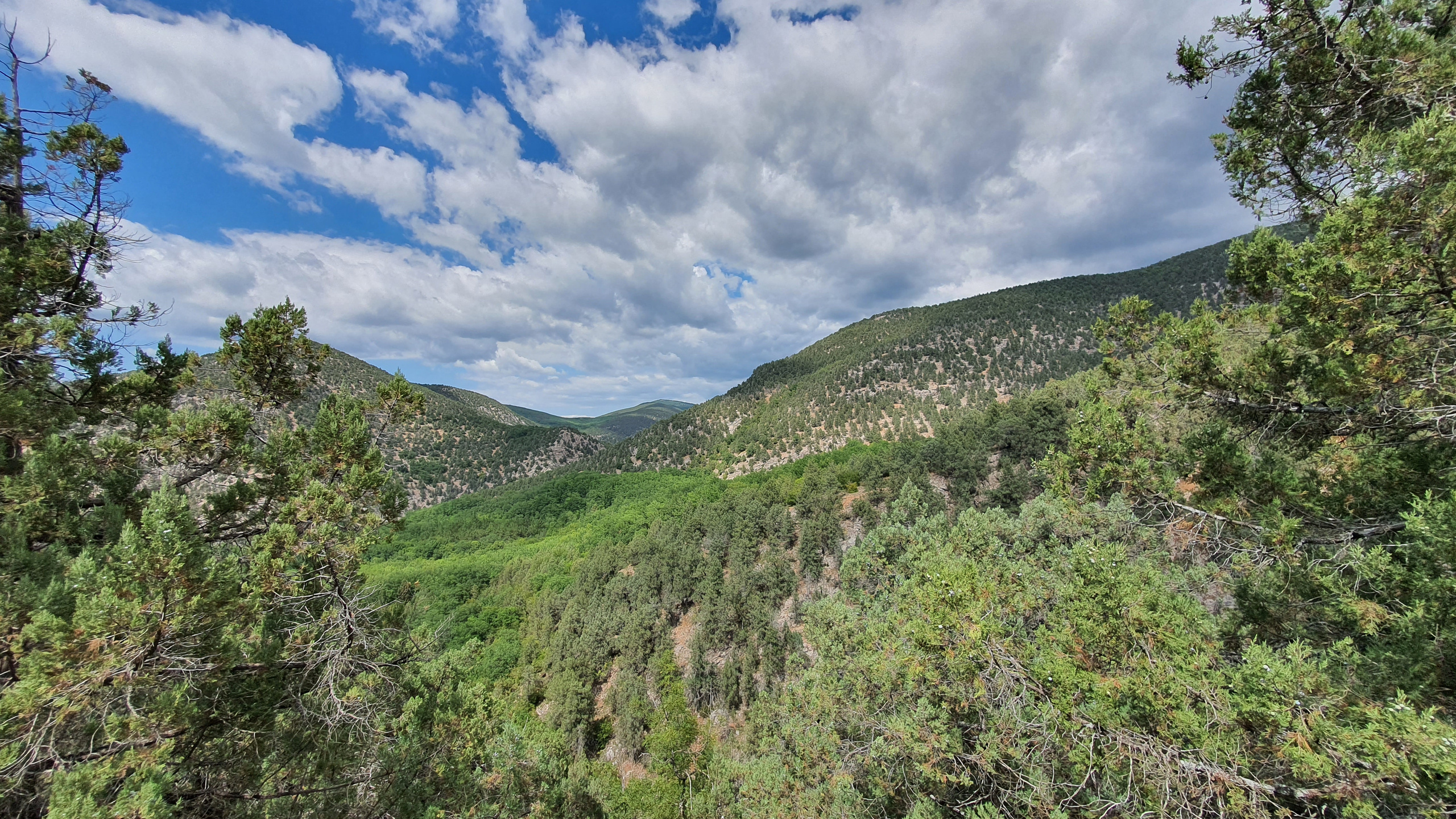 Крым. Фото разных лет. Фотохудожник BID