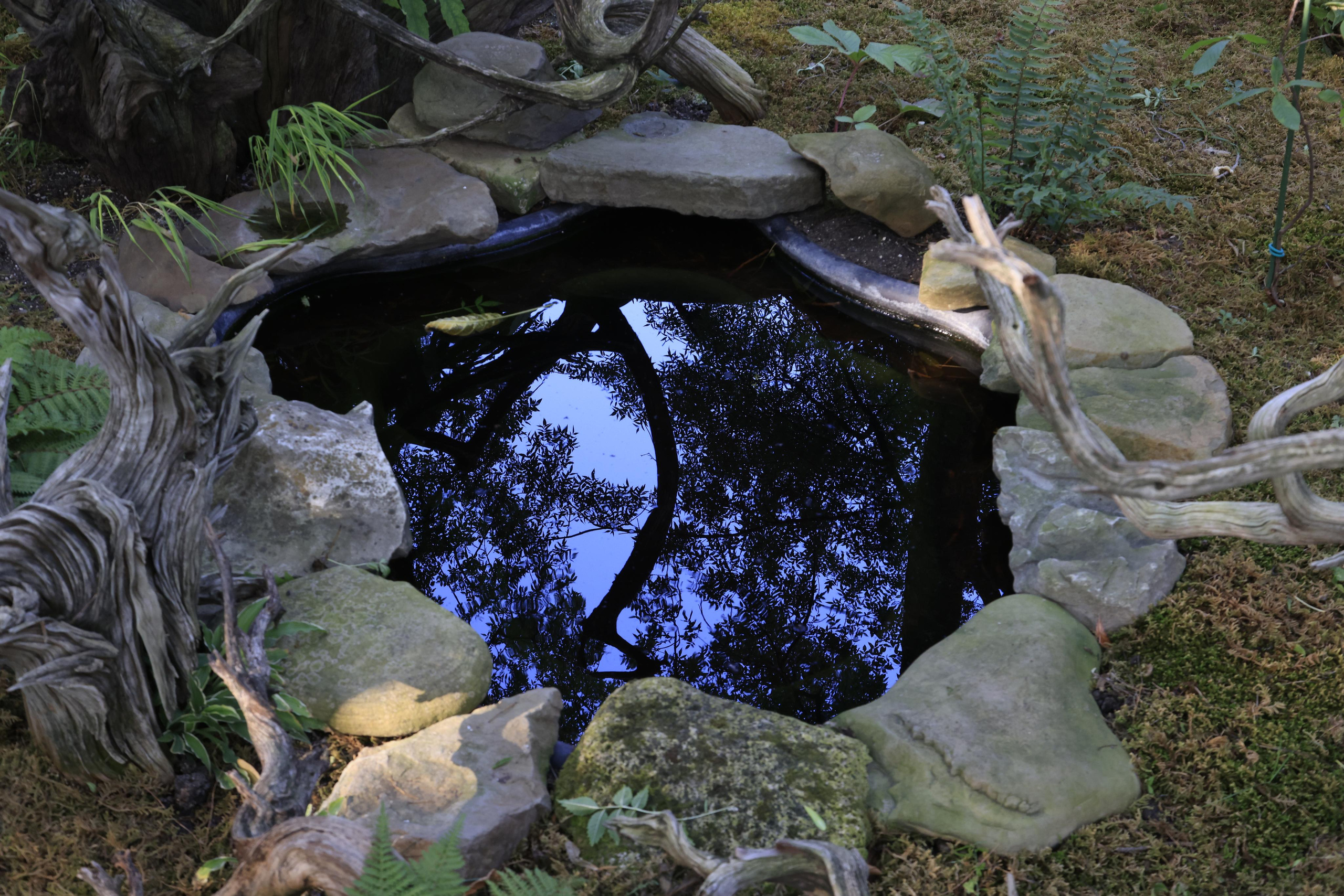 Старый парк. Кабардинка. 2023. Фотохудожник BID