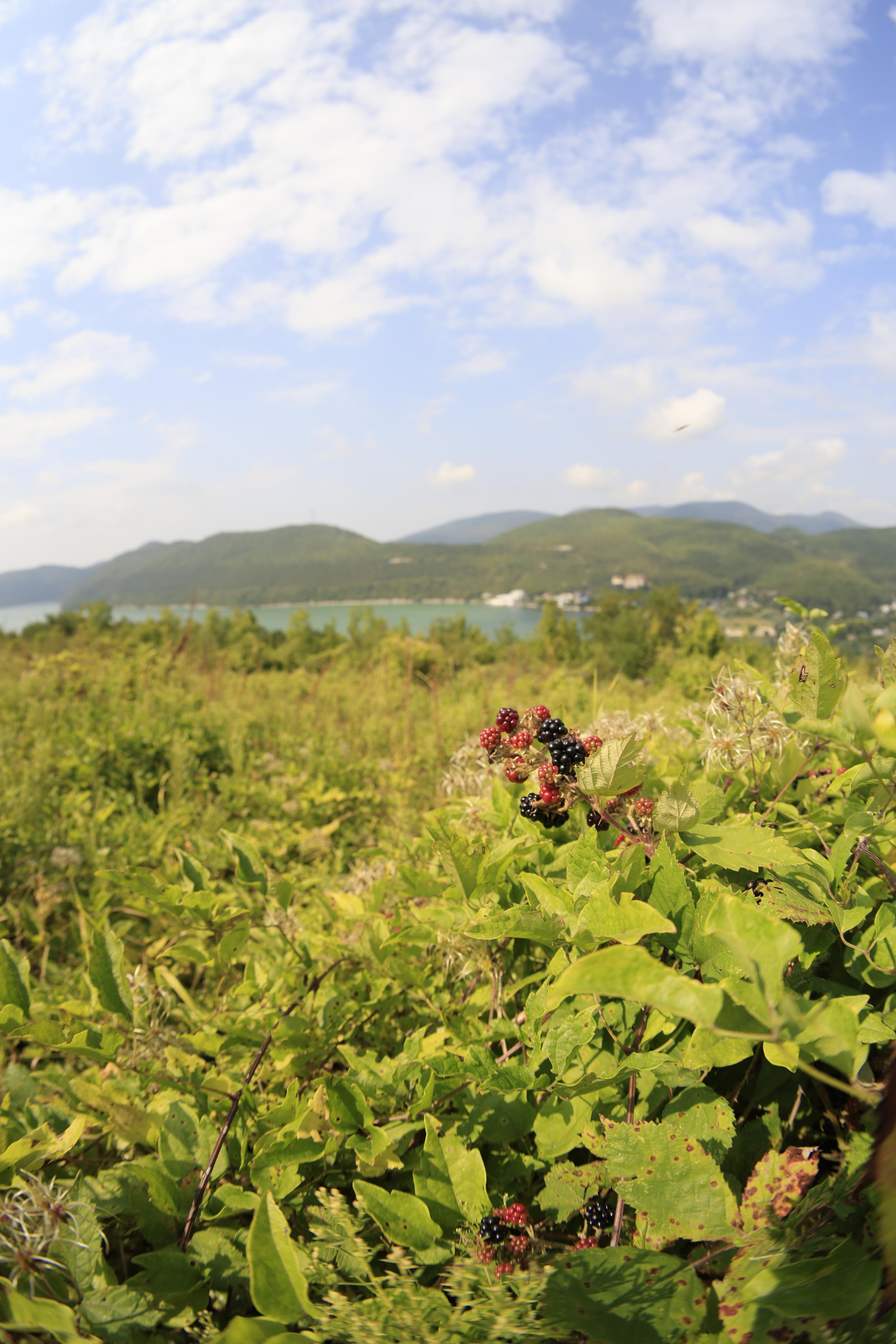 Краснодарский край 2023. Фотохудожник BID