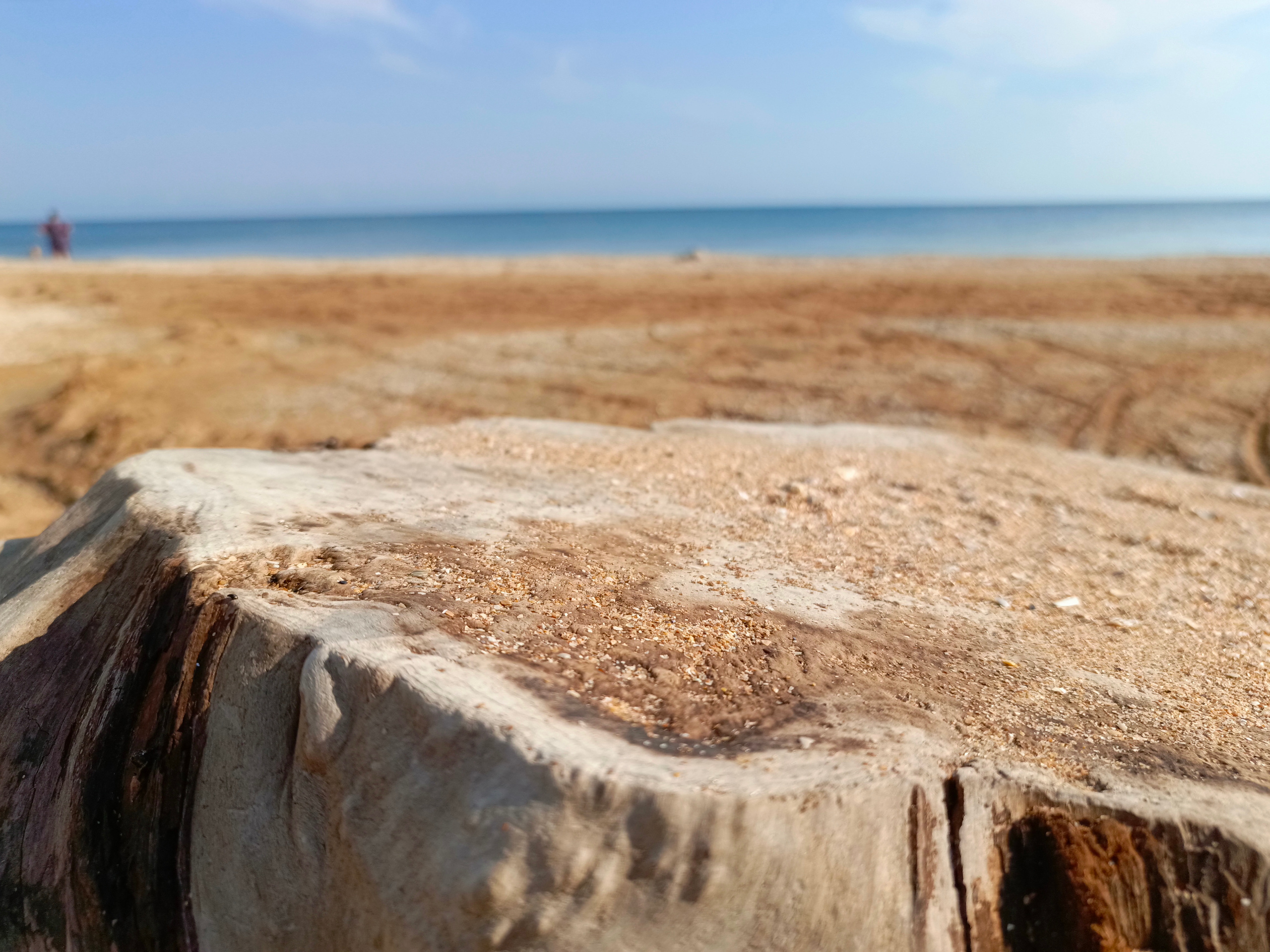 Краснодарский край 2023 Мобильная фотография. Фотохудожник BID