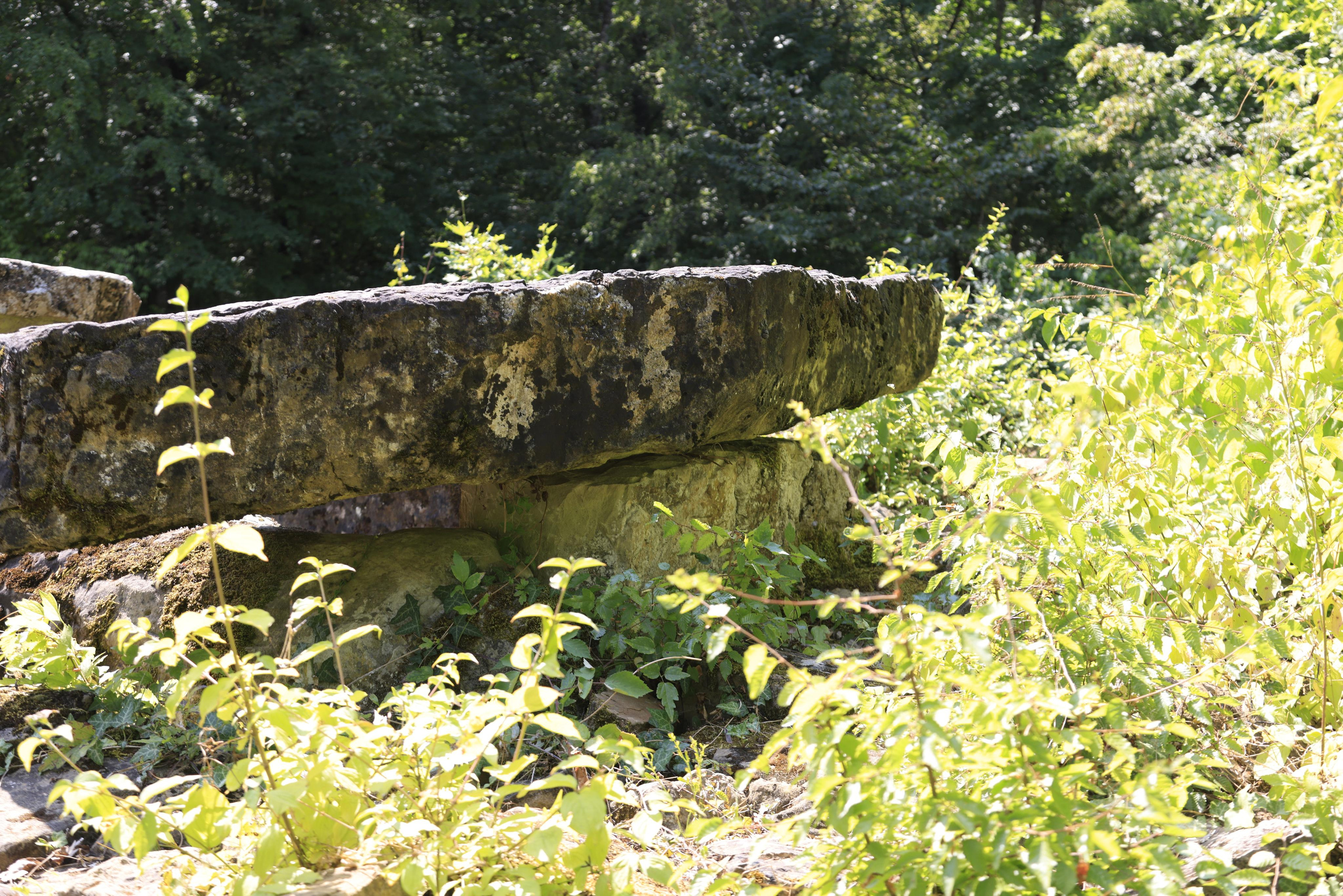 Дольмены около Абрау-Дюрсо 2023. Фотохудожник BID