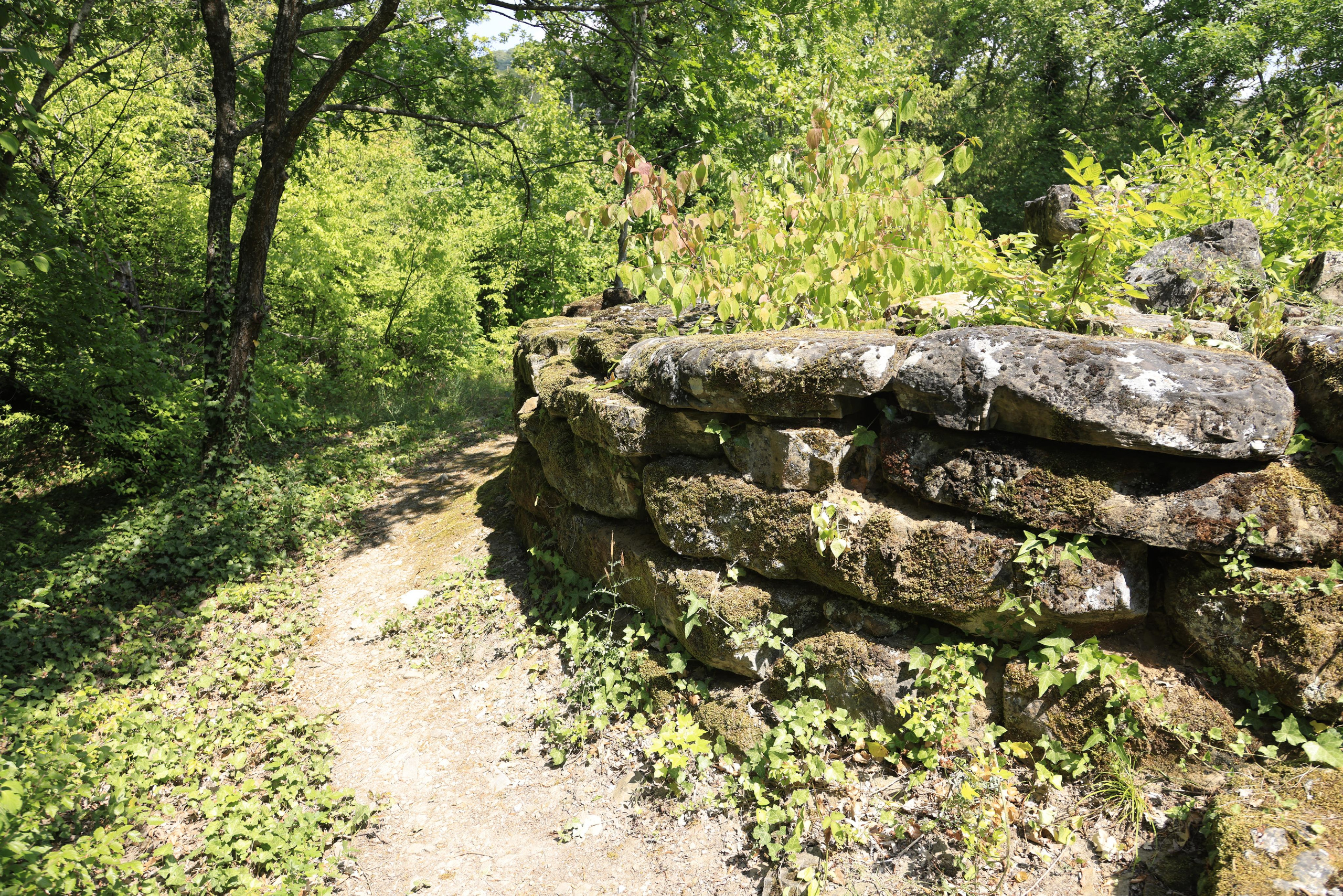 Дольмены около Абрау-Дюрсо 2023. Фотохудожник BID