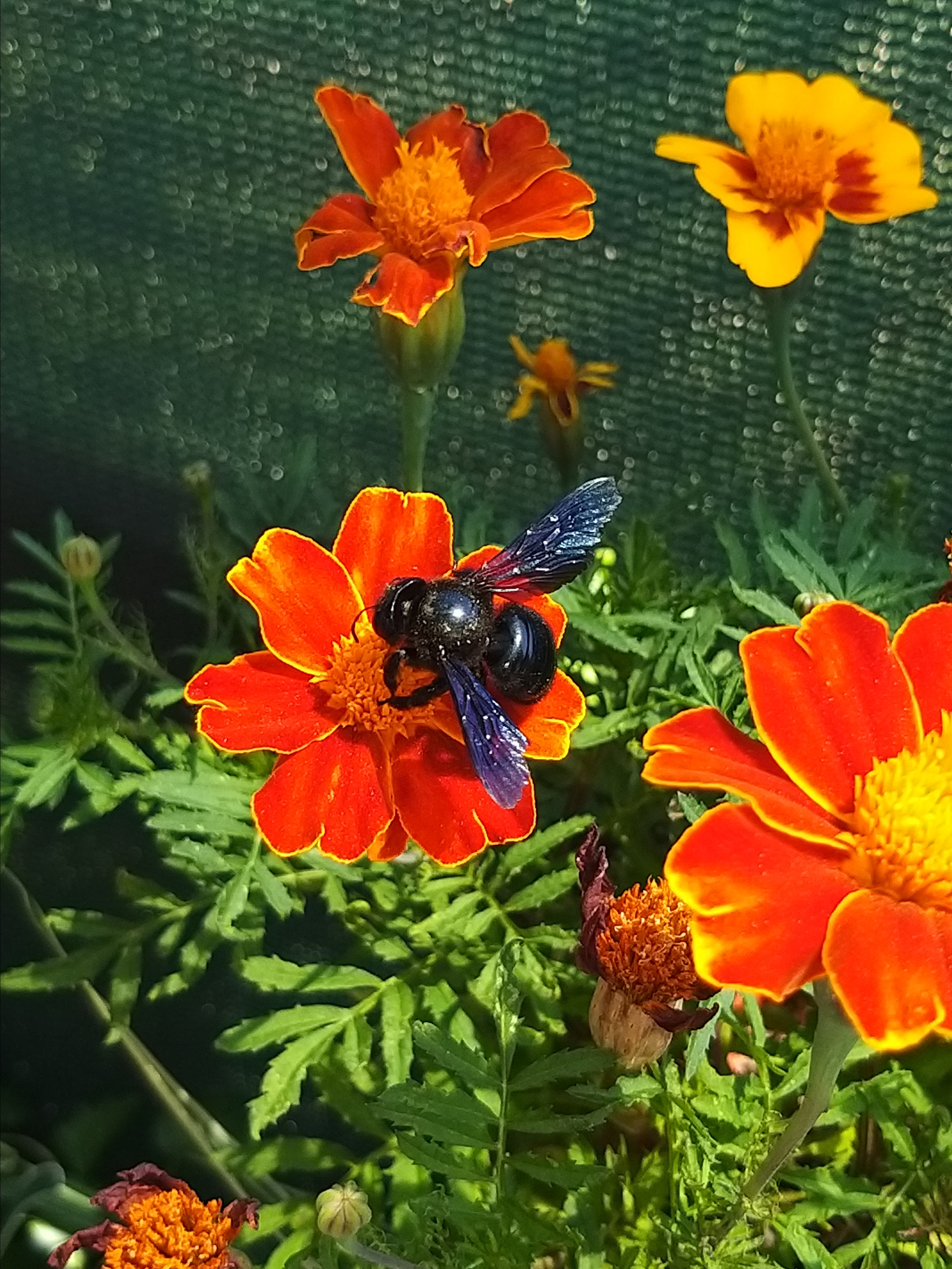 Крым. Фото разных лет. Фотохудожник BID