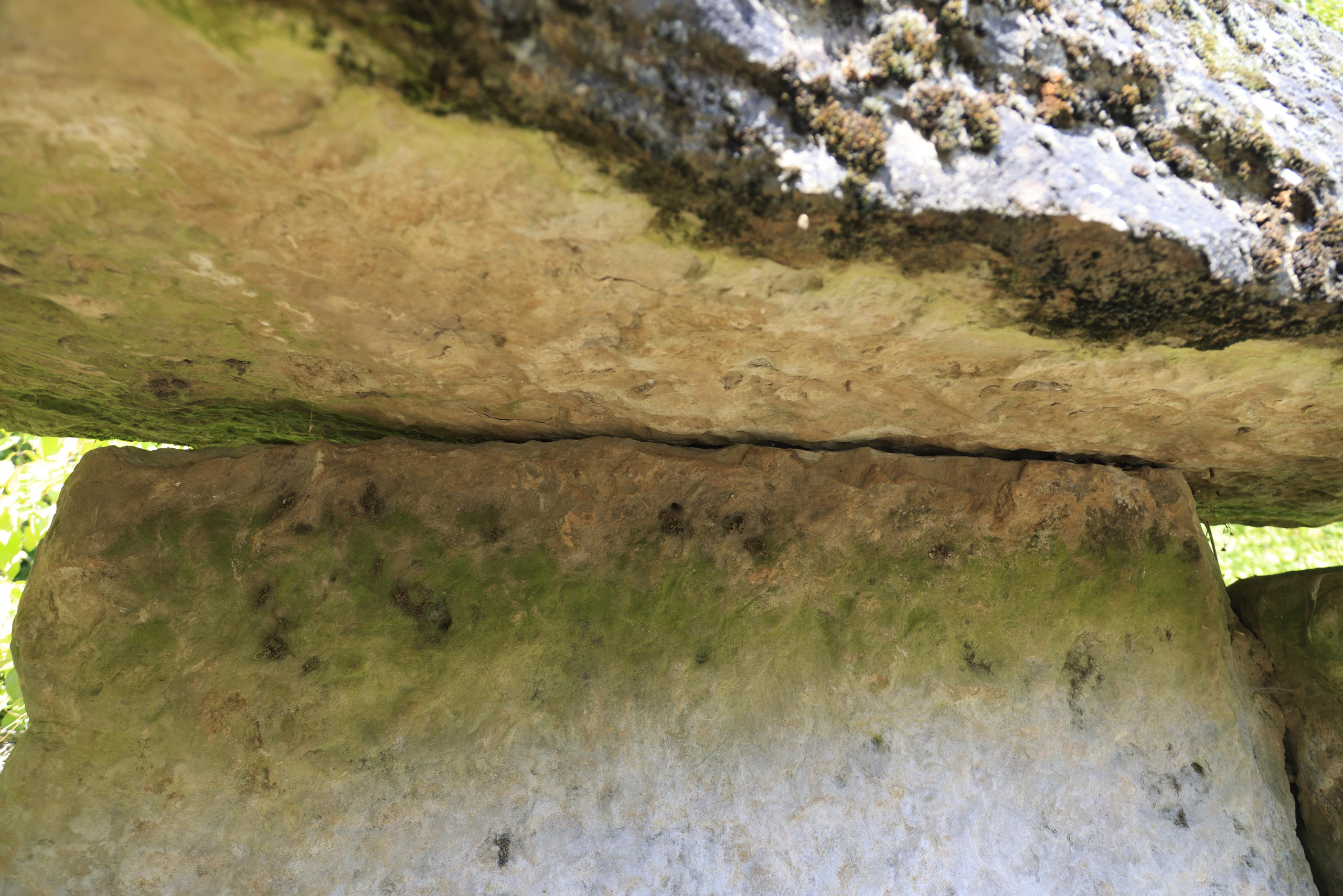 Дольмены около Абрау-Дюрсо 2023. Фотохудожник BID