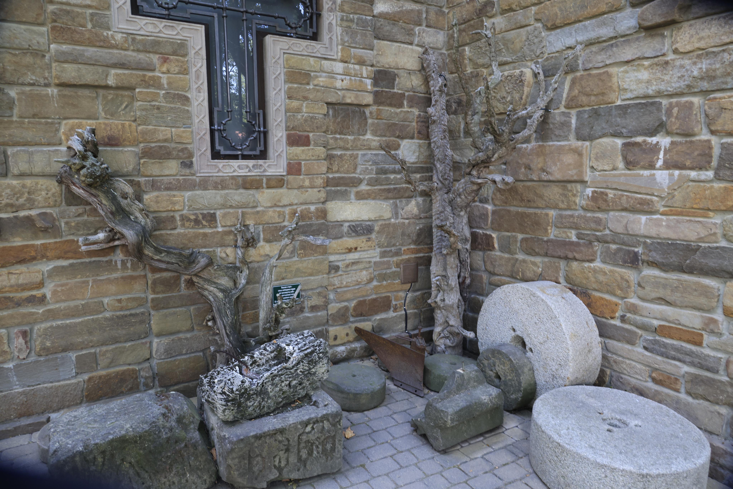 Старый парк. Кабардинка. 2023. Фотохудожник BID