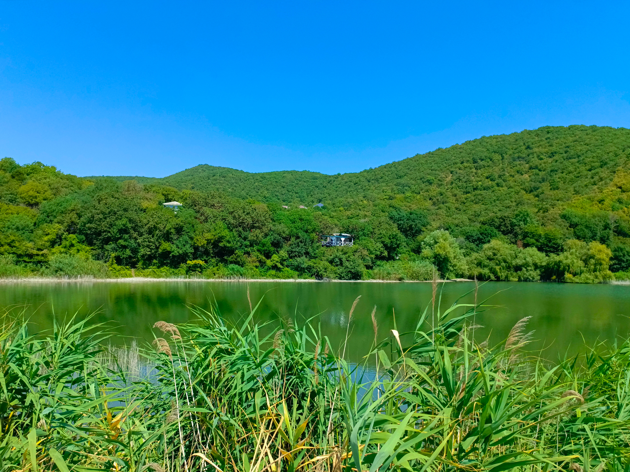 Краснодарский край 2023 Мобильная фотография. Фотохудожник BID