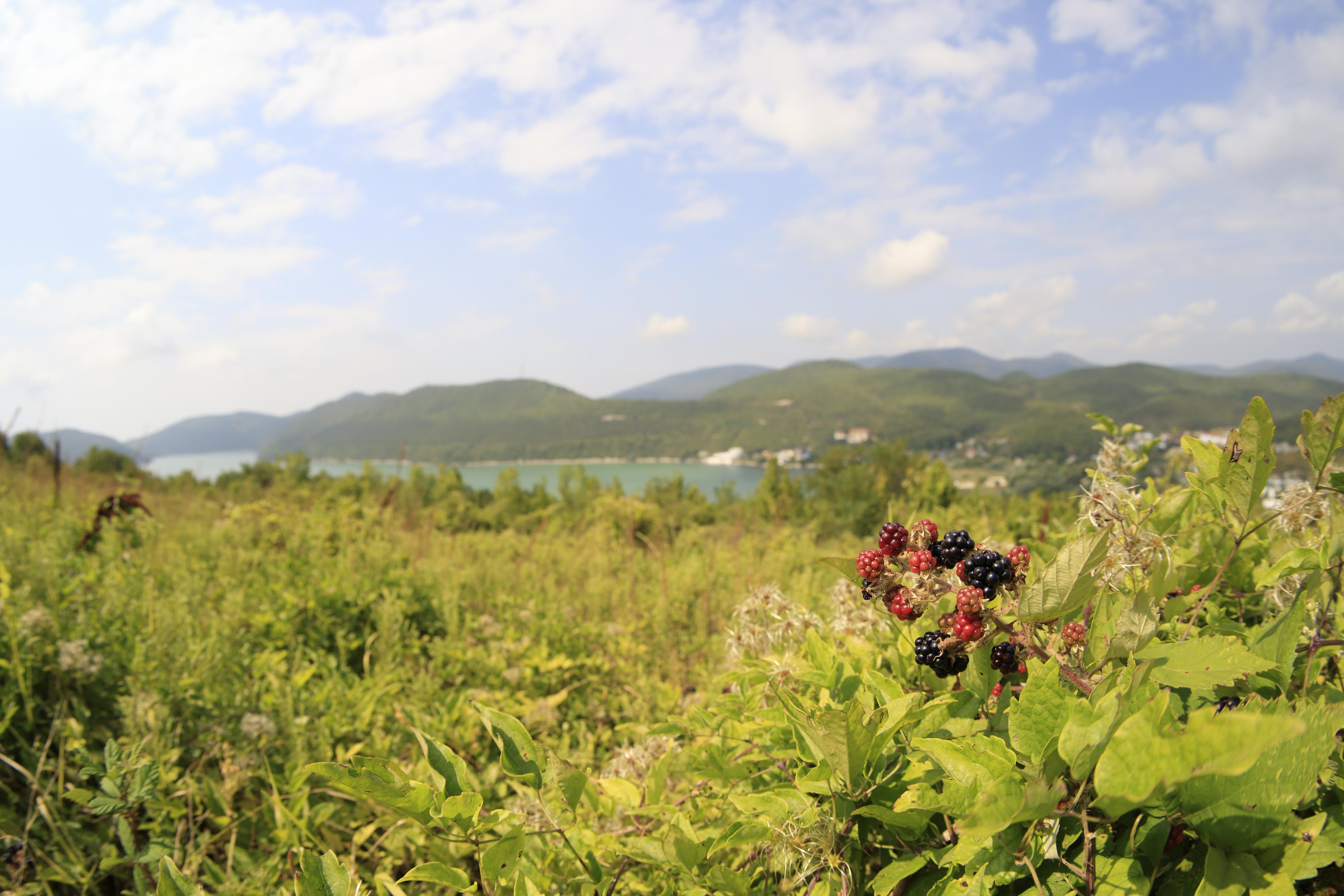 Краснодарский край 2023. Фотохудожник BID