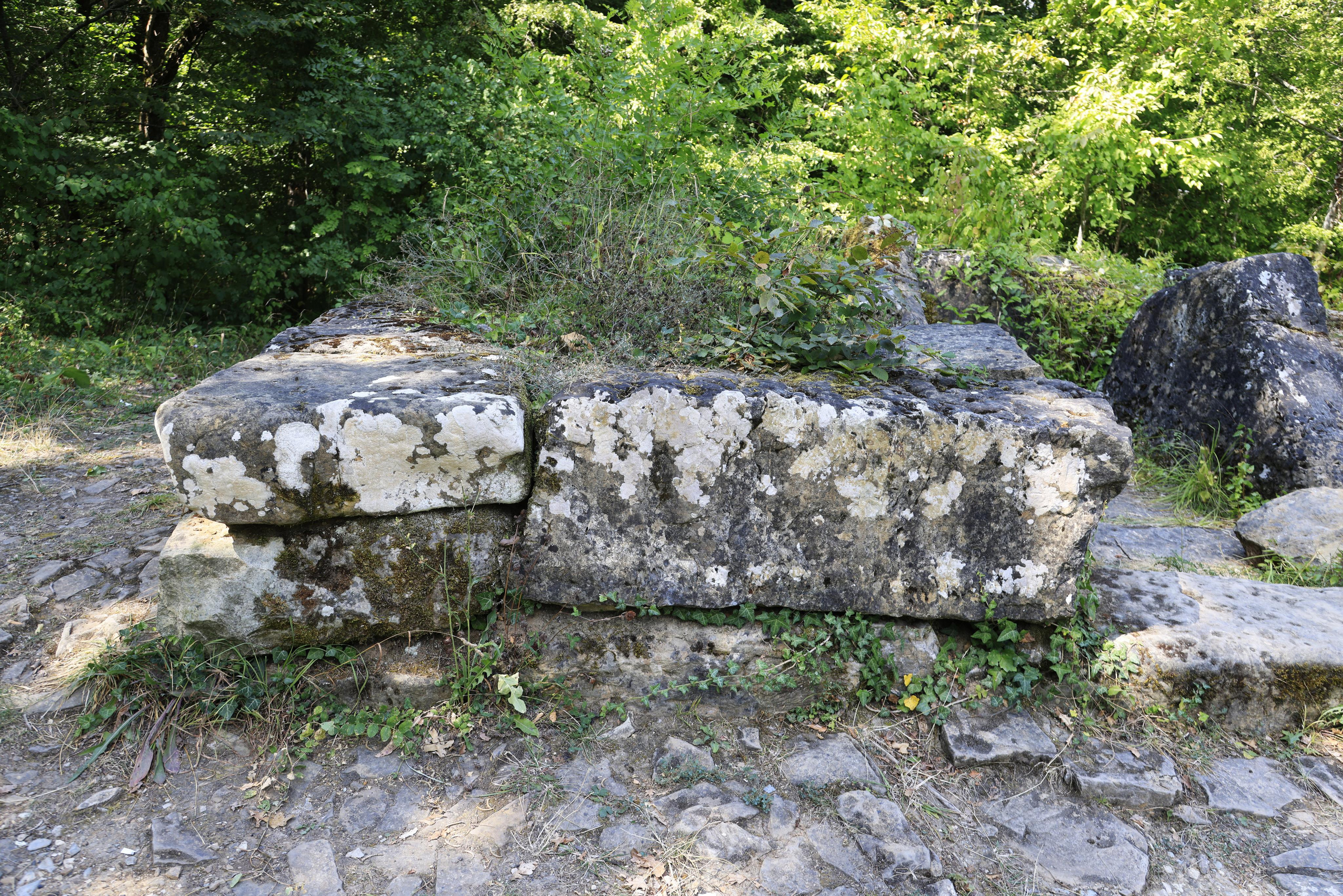 Дольмены около Абрау-Дюрсо 2023. Фотохудожник BID