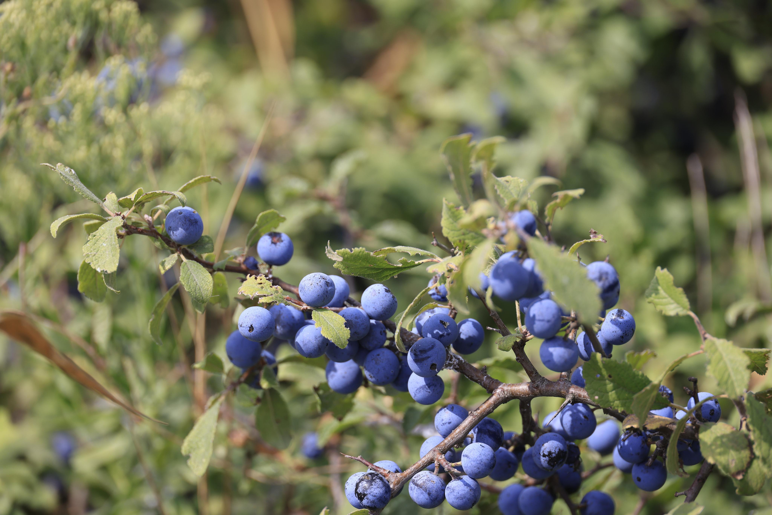 Краснодарский край 2023. Фотохудожник BID