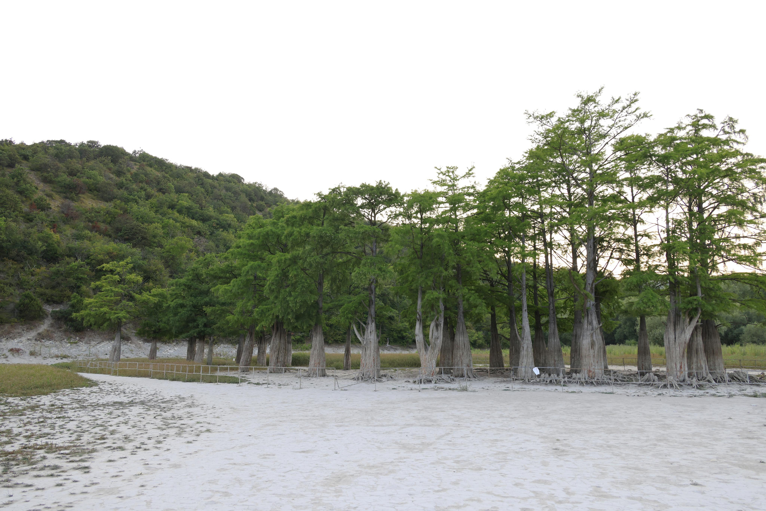 Краснодарский край 2023. Фотохудожник BID