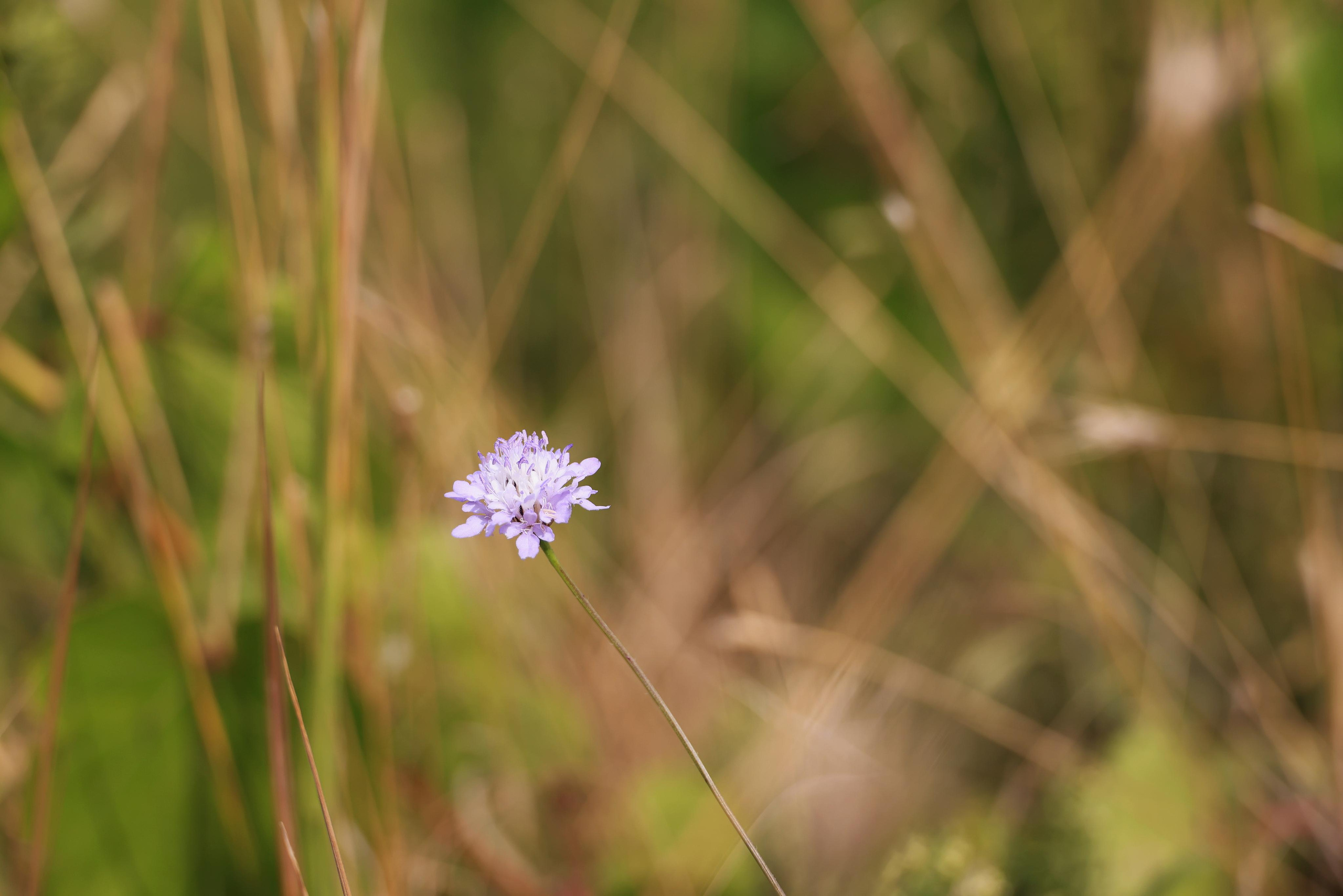 Краснодарский край 2023. Фотохудожник BID