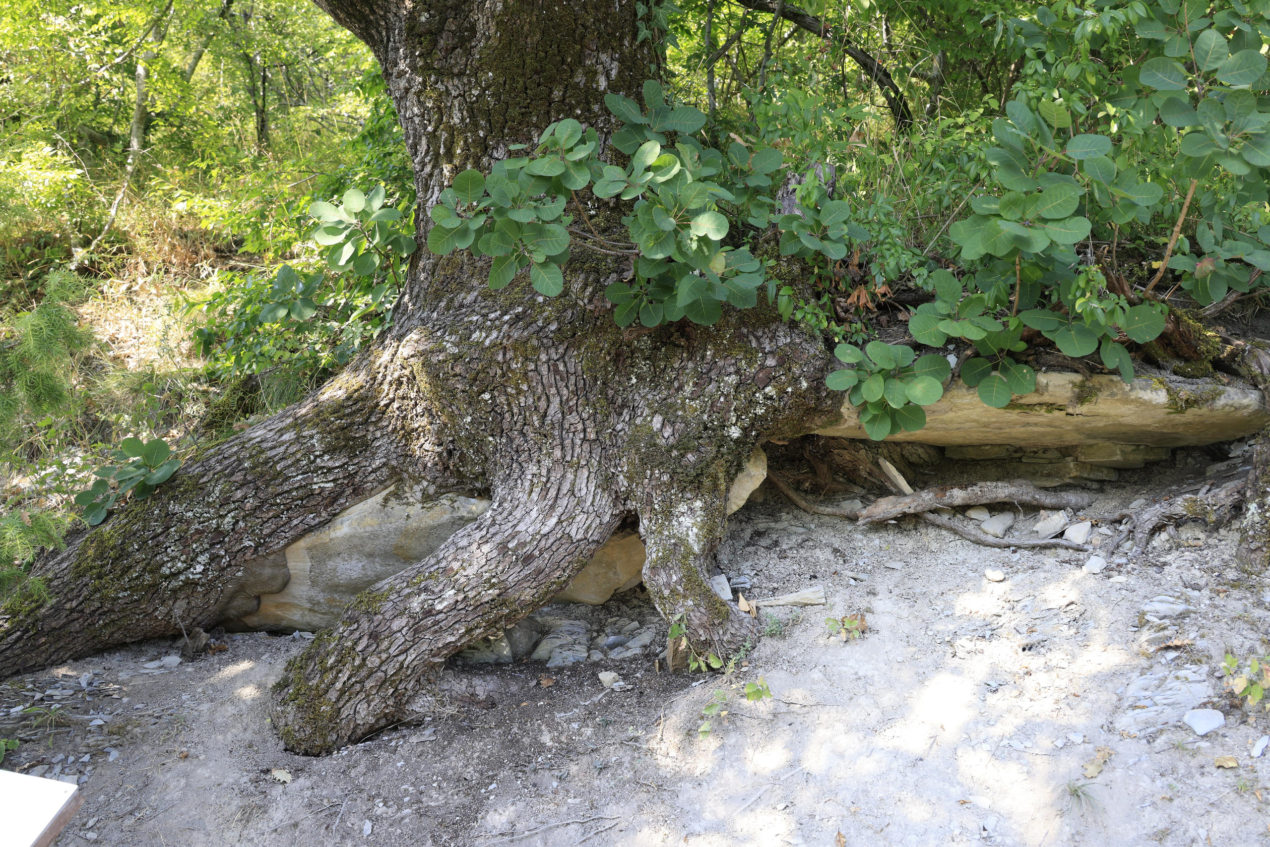 Краснодарский край 2023. Фотохудожник BID