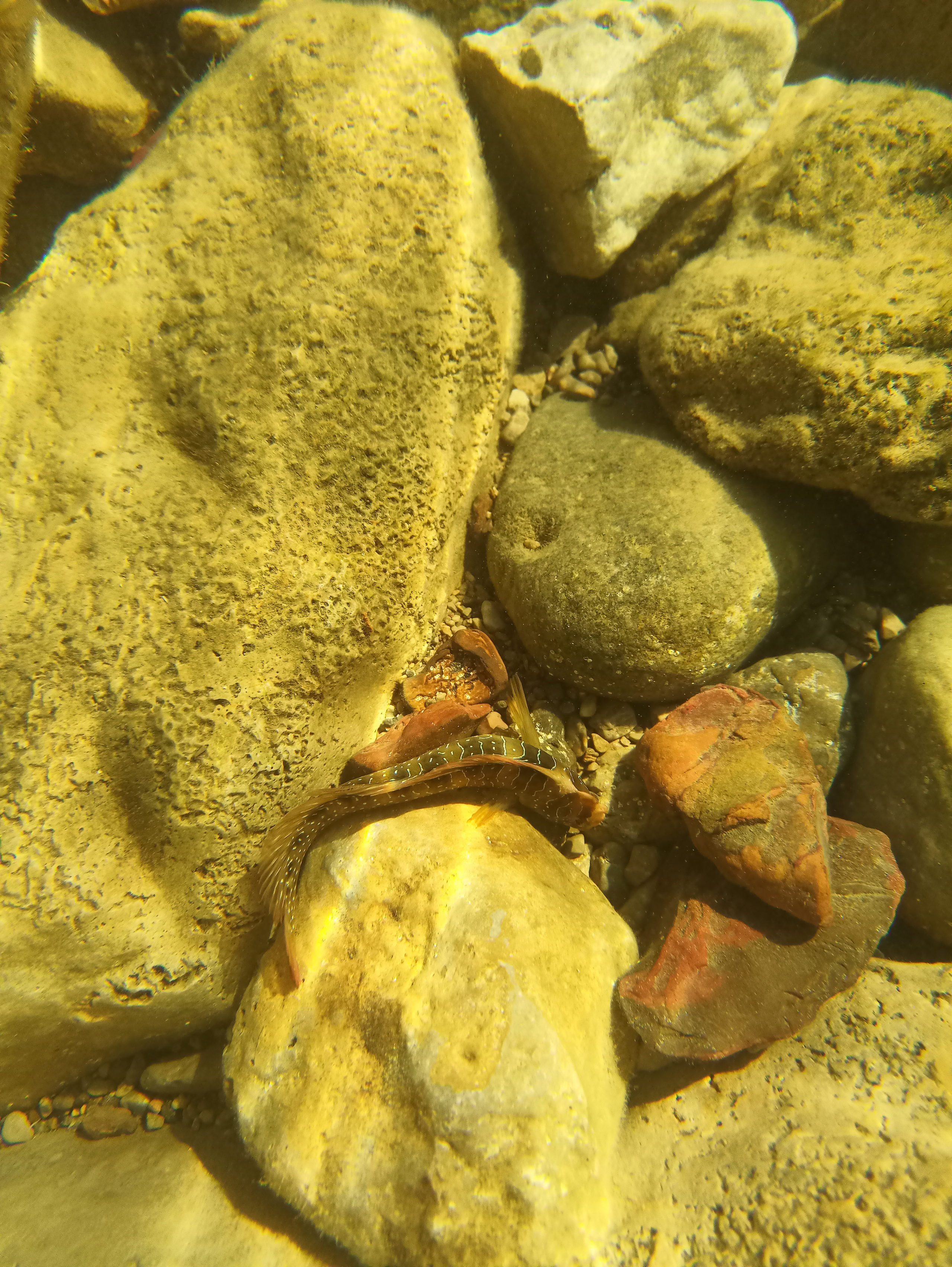 Мобильная фотография. Крым разных лет. Фотохудожник BID