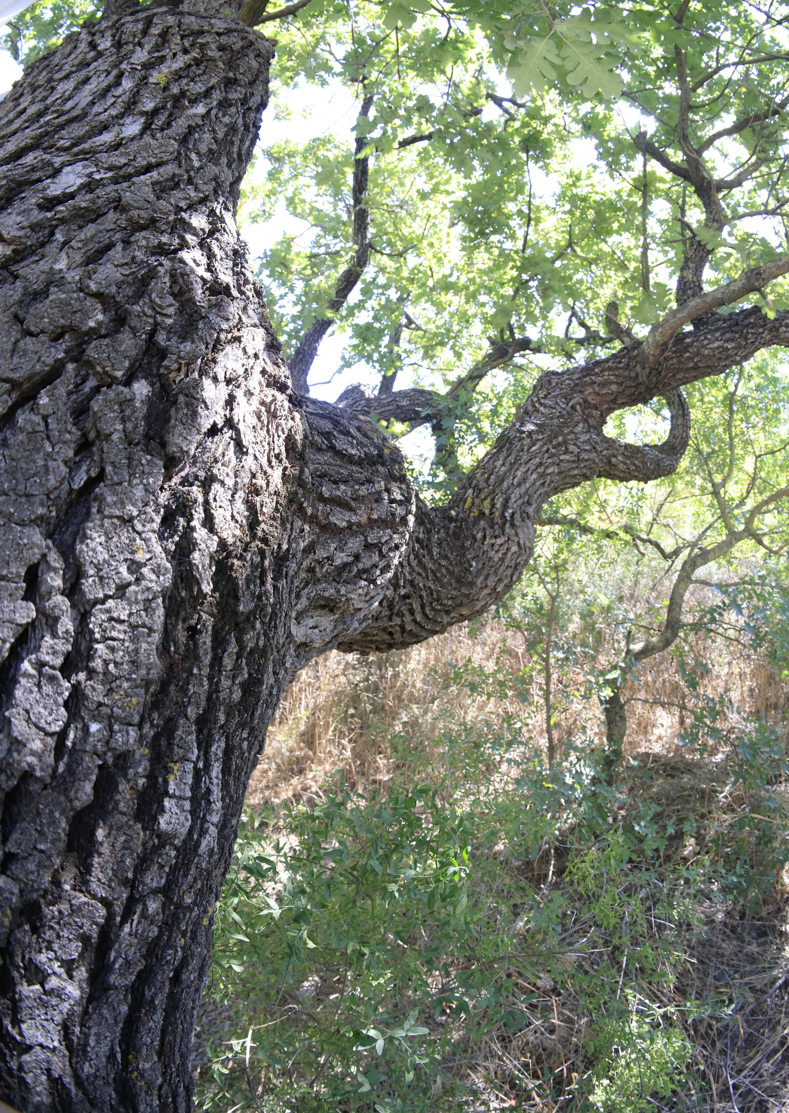 Краснодарский край 2023. Фотохудожник BID