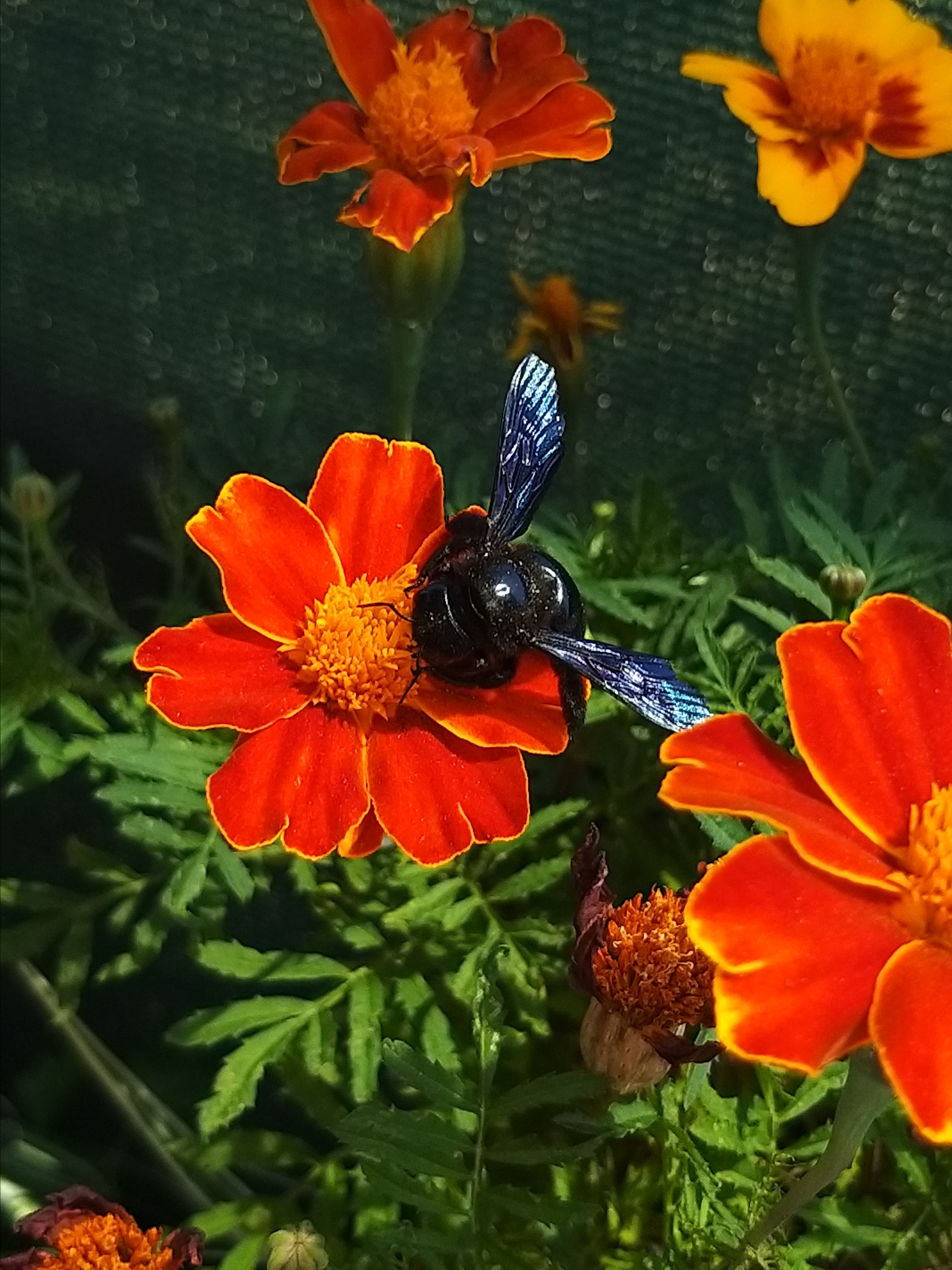 Крым. Фото разных лет. Фотохудожник BID