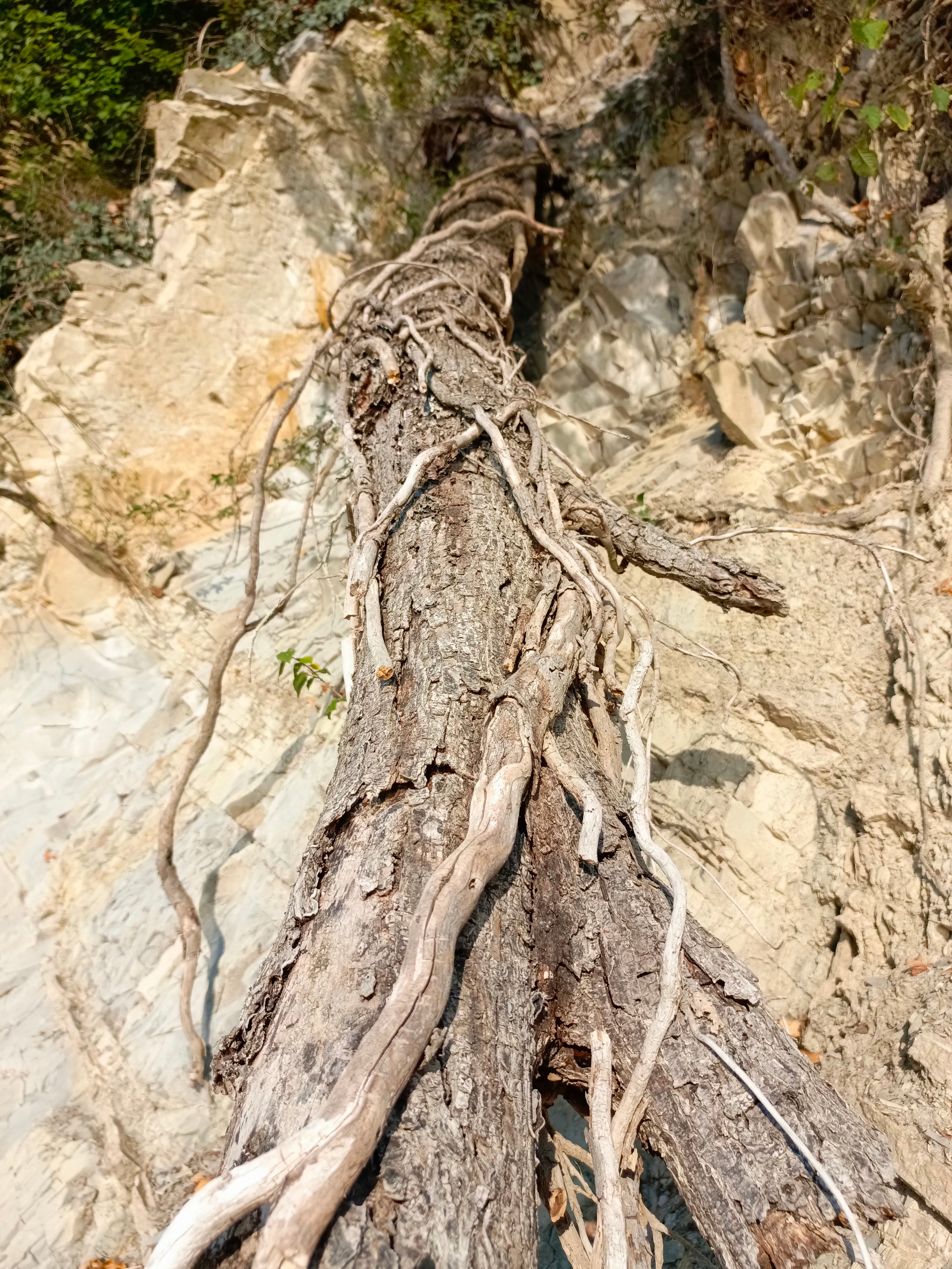 Краснодарский край 2023 Мобильная фотография. Фотохудожник BID