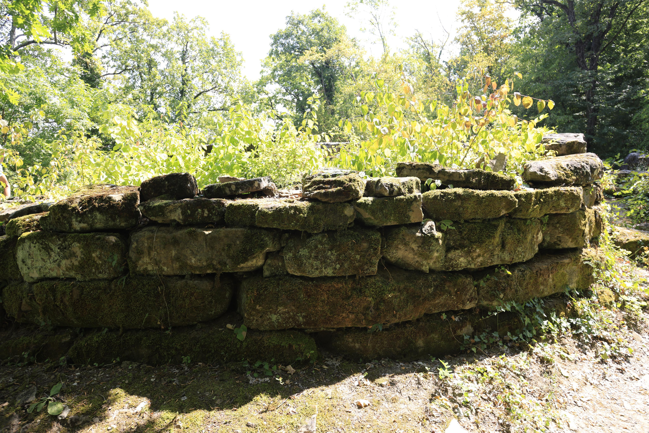 Дольмены около Абрау-Дюрсо 2023. Фотохудожник BID