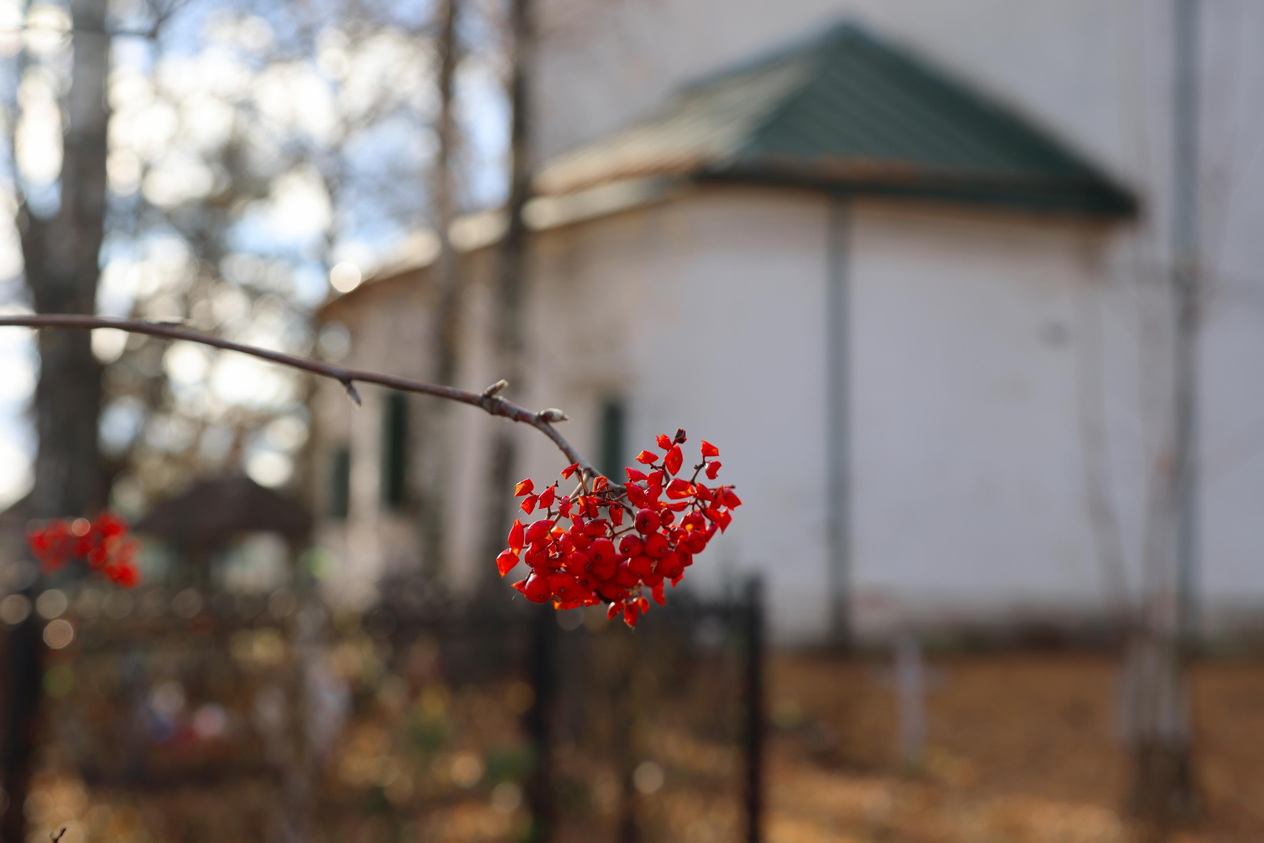 Храм ап. Иоанна Богослова г. Костромы. Экстерьеры. Фотохудожник BID