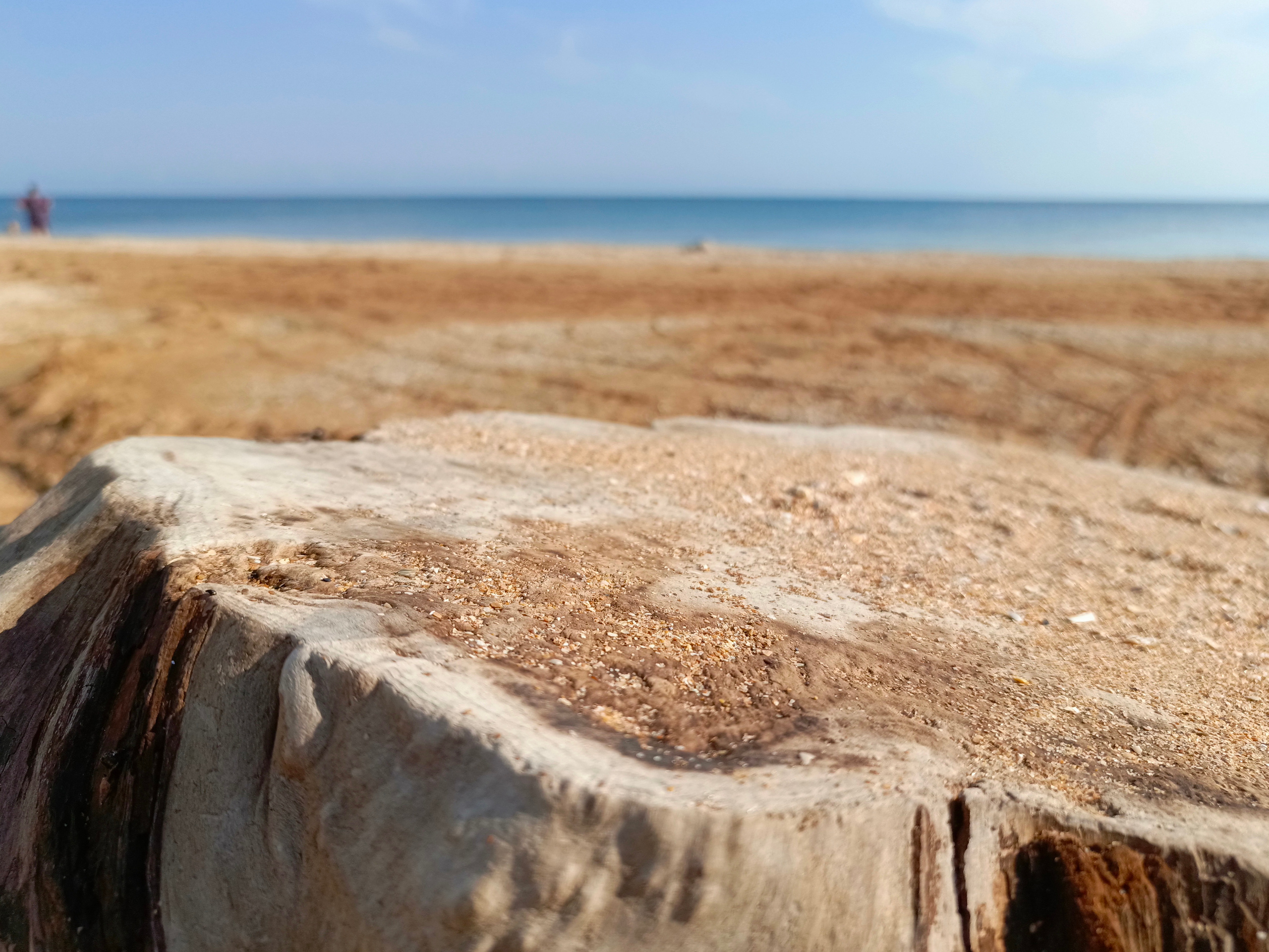 Краснодарский край 2023 Мобильная фотография. Фотохудожник BID