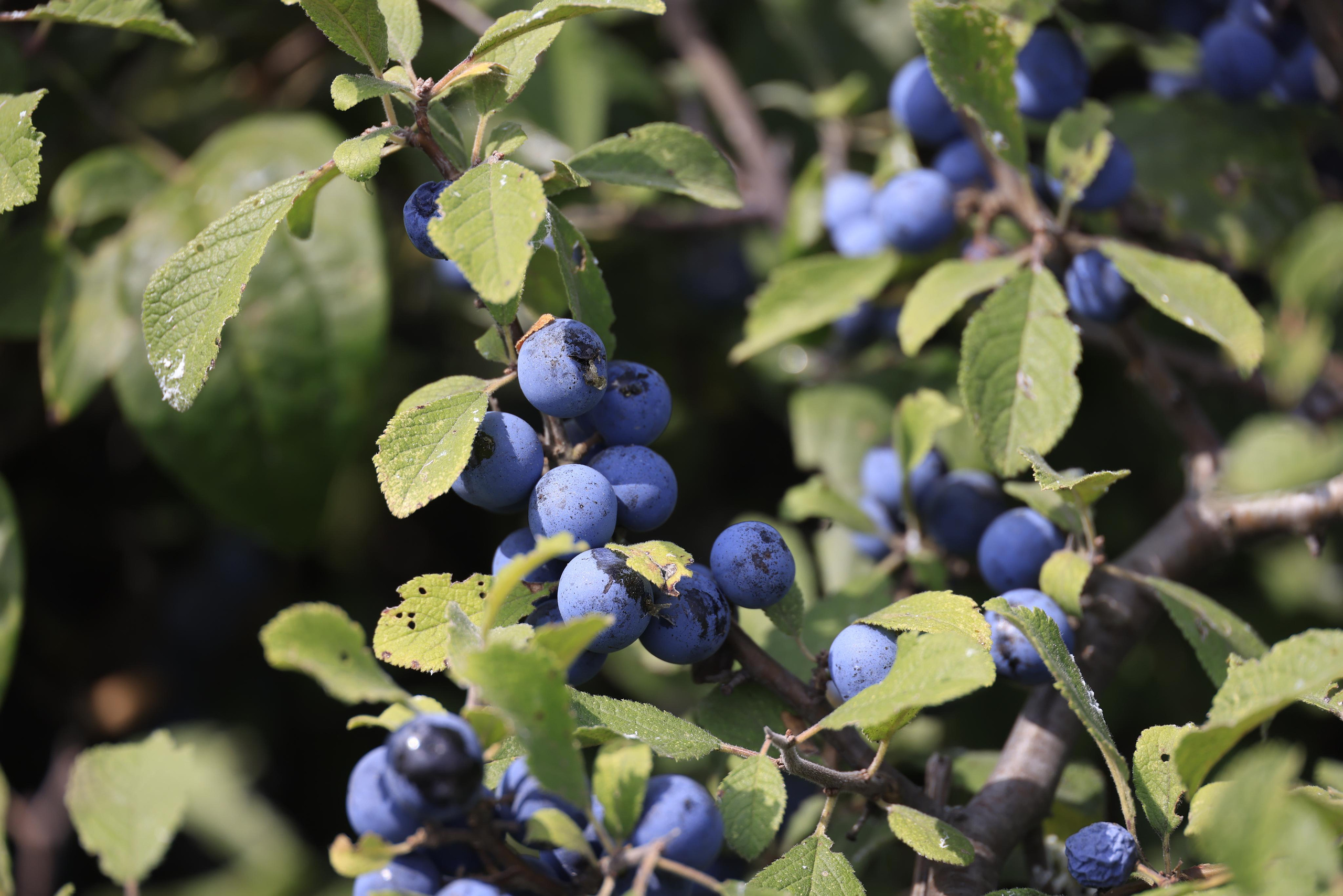 Краснодарский край 2023. Фотохудожник BID