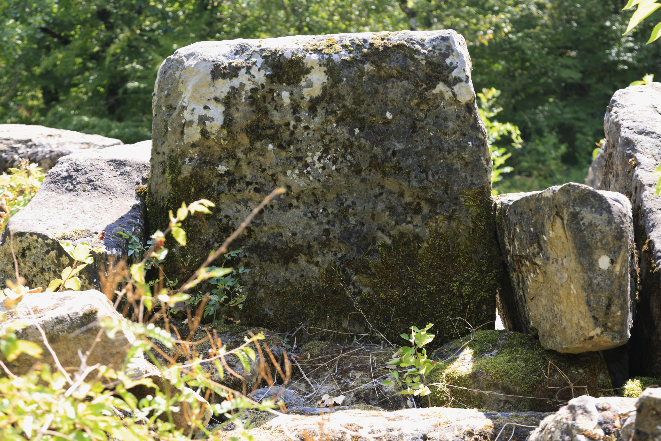 Дольмены около Абрау-Дюрсо 2023. Фотохудожник BID