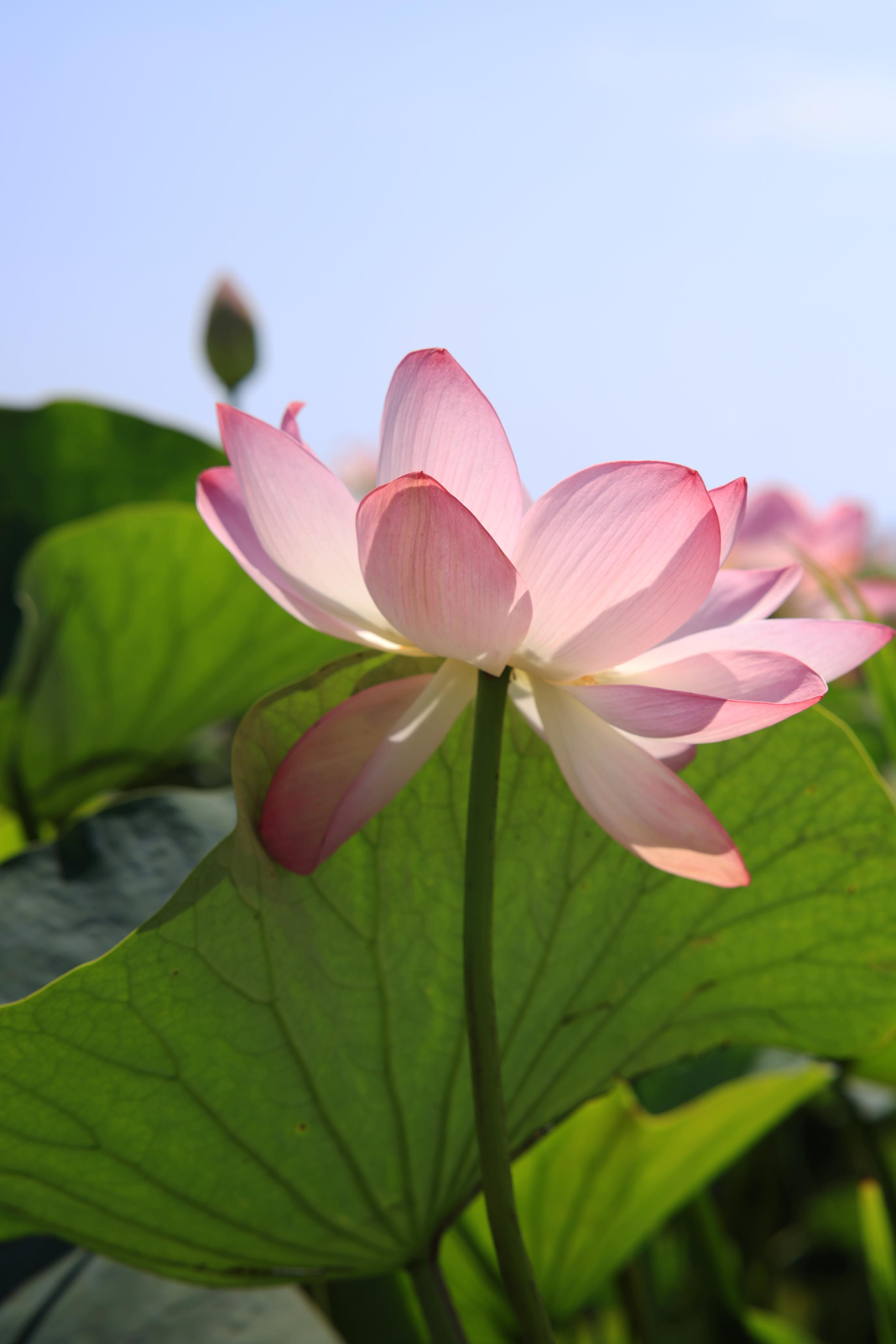 Краснодарский край 2023. Фотохудожник BID