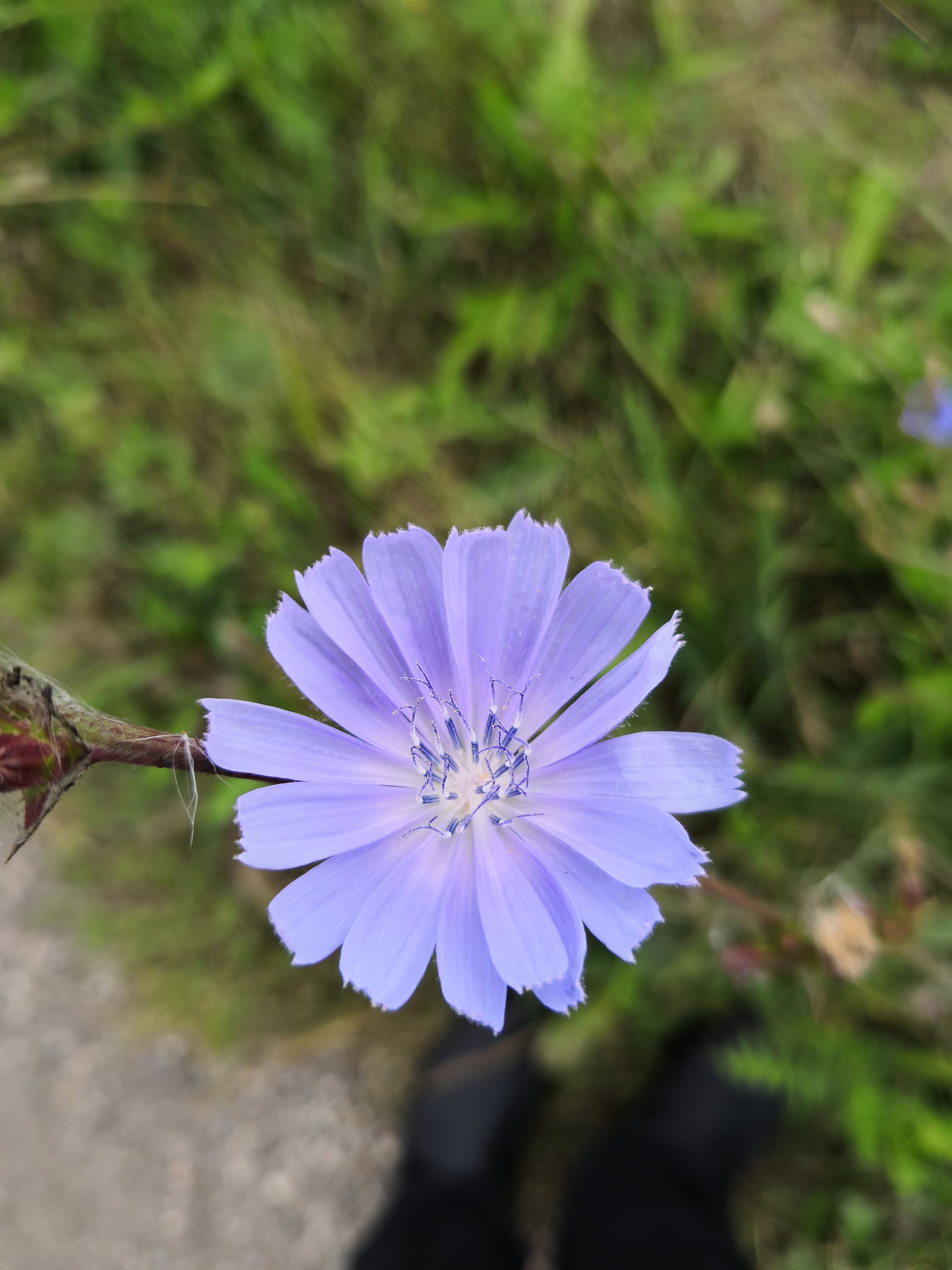 Мобильная фотография. Фотохудожник BID