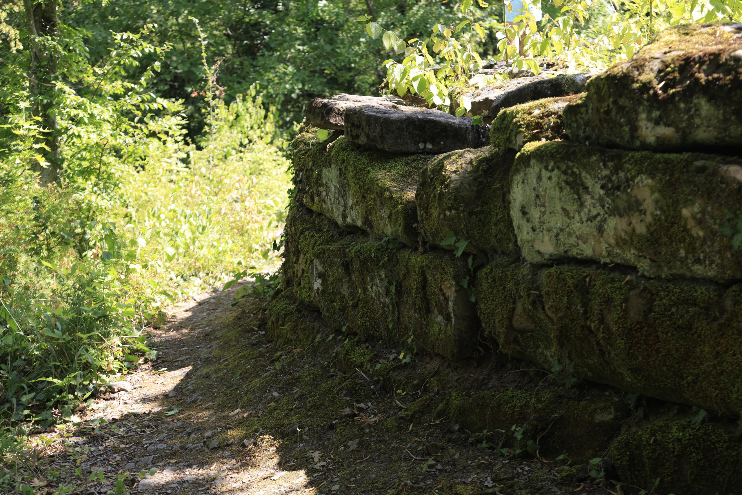 Дольмены около Абрау-Дюрсо 2023. Фотохудожник BID