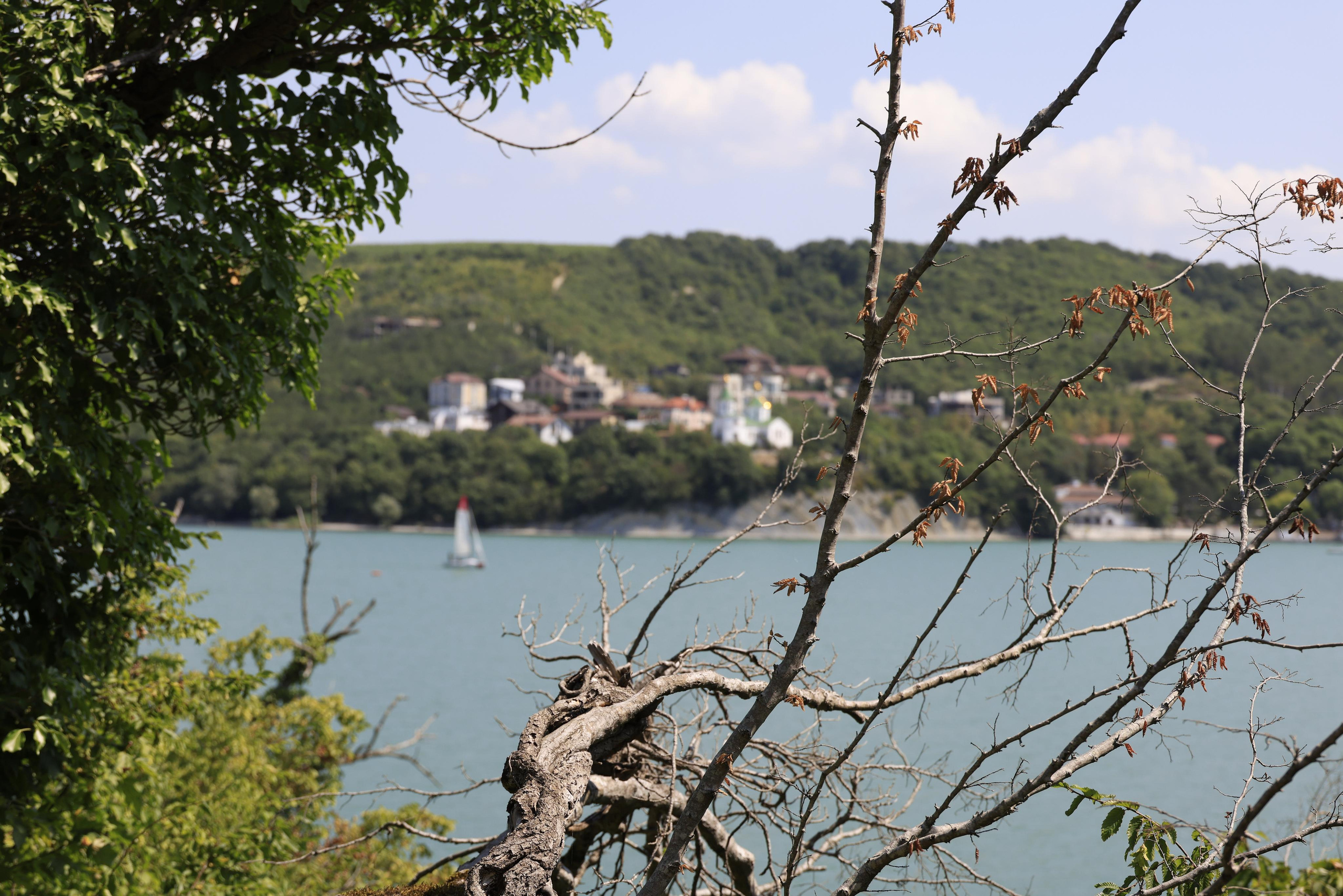 Краснодарский край 2023. Фотохудожник BID