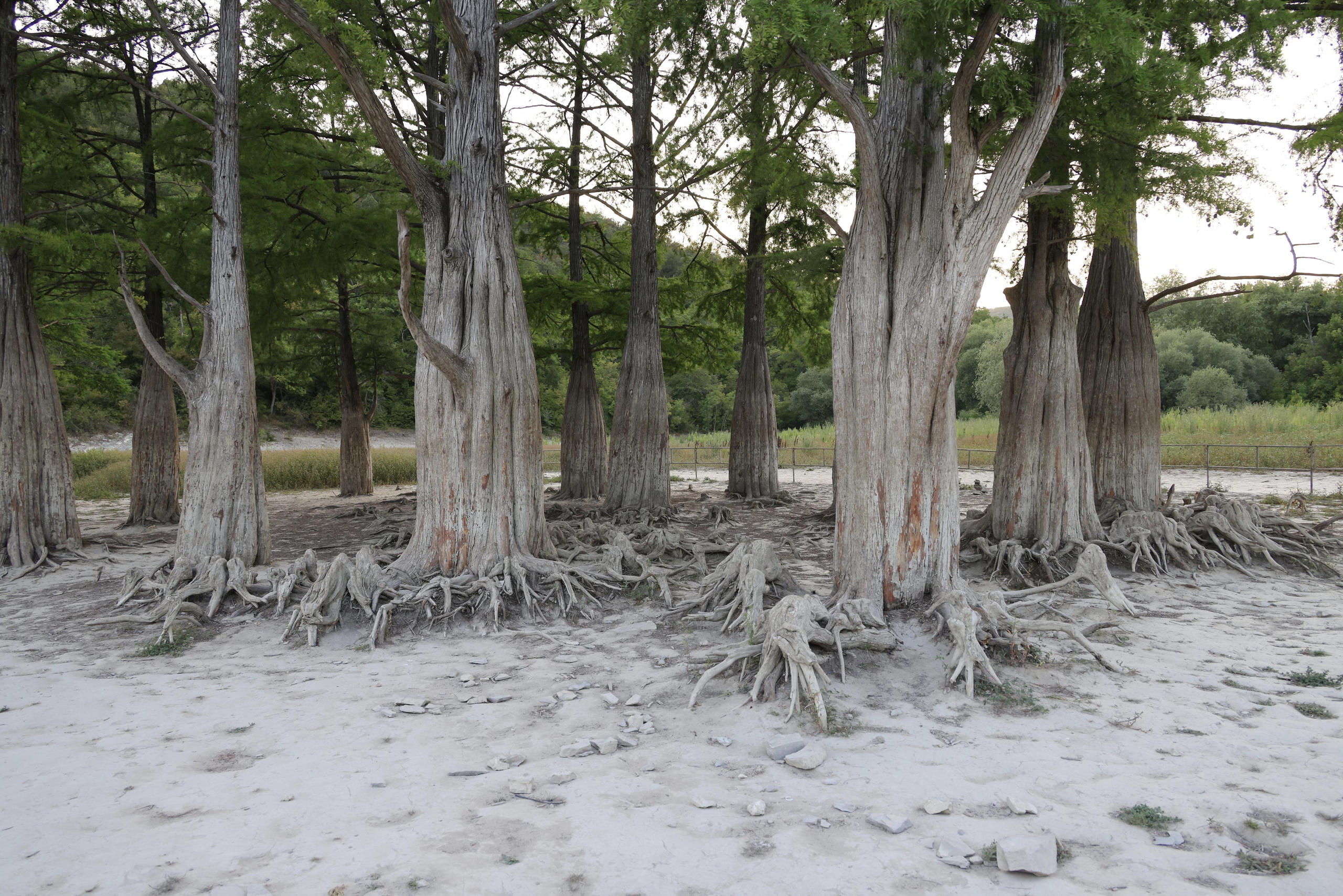 Краснодарский край 2023. Фотохудожник BID