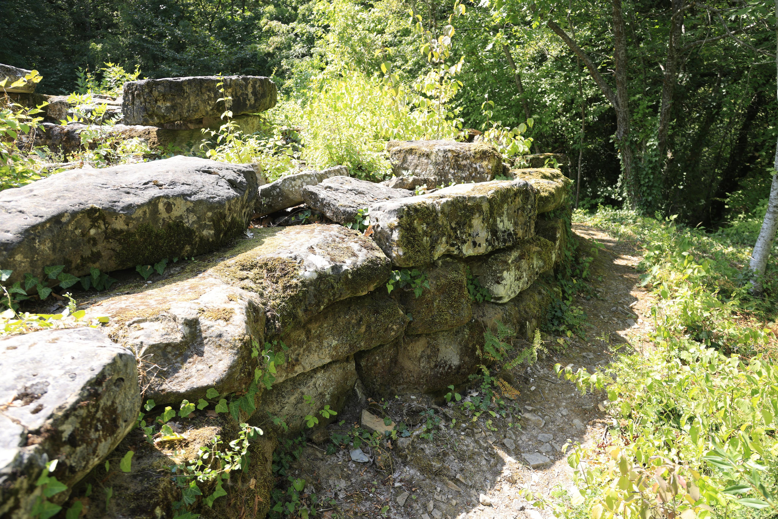 Дольмены около Абрау-Дюрсо 2023. Фотохудожник BID