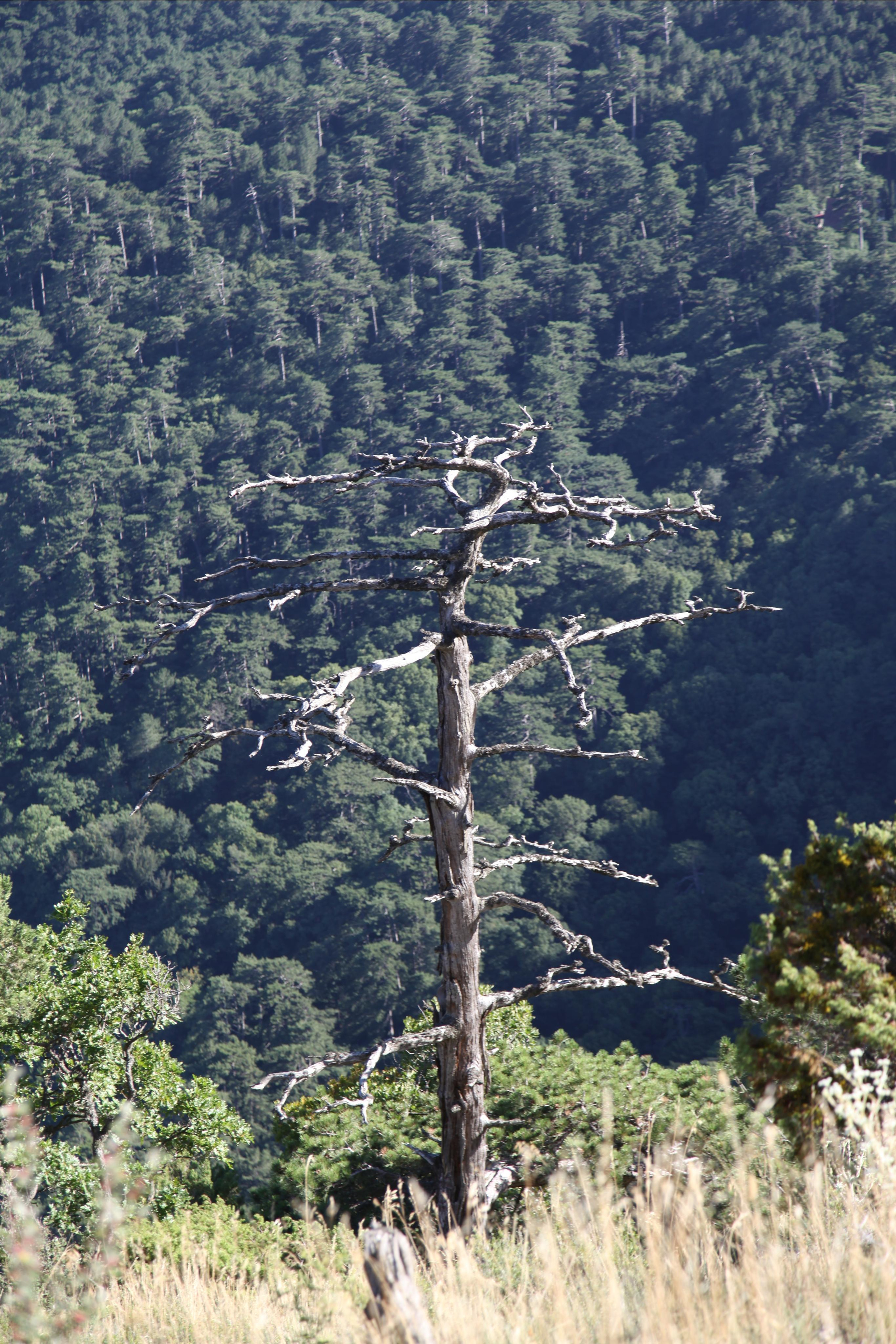 Крым. Фото разных лет. Фотохудожник BID