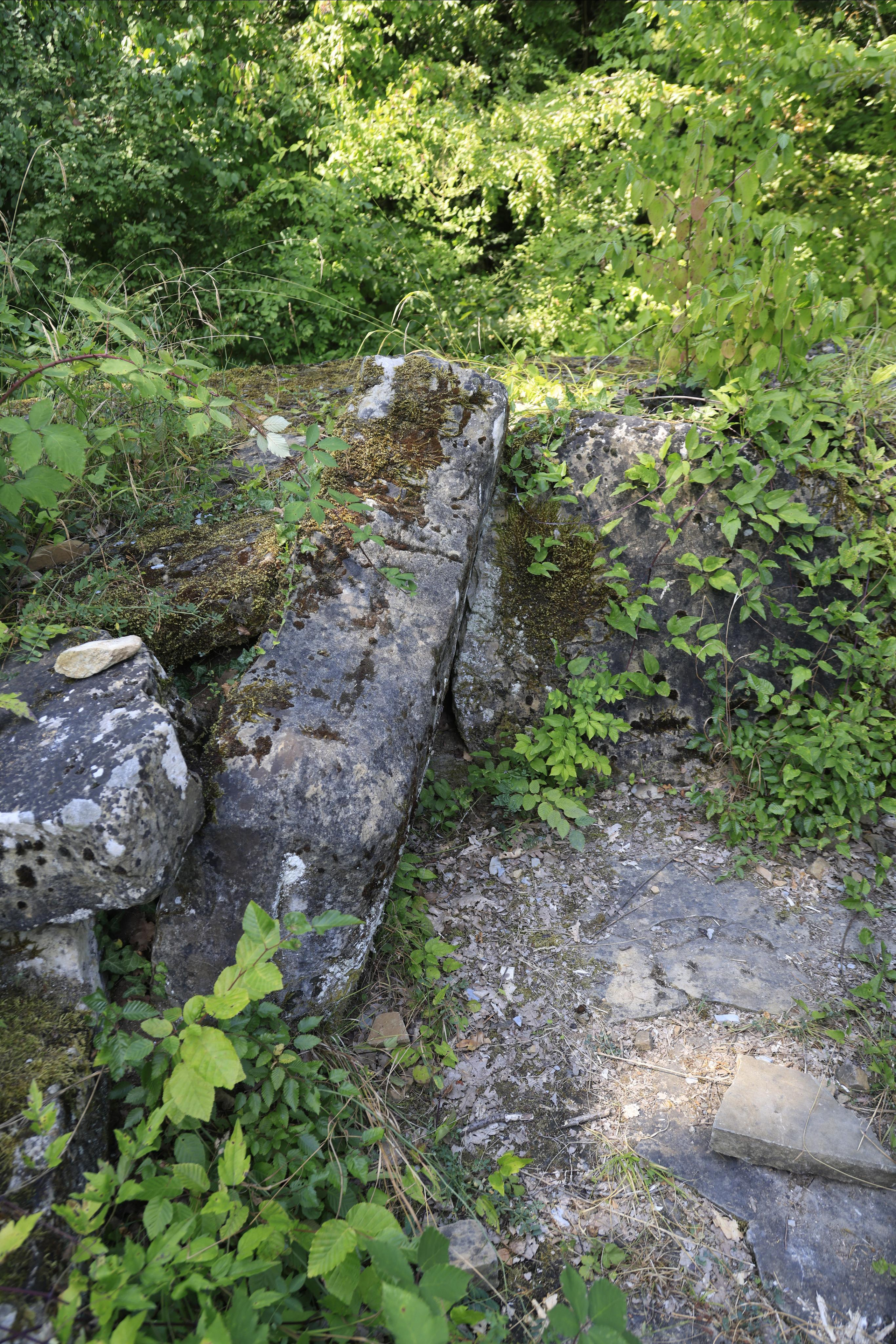 Дольмены около Абрау-Дюрсо 2023. Фотохудожник BID